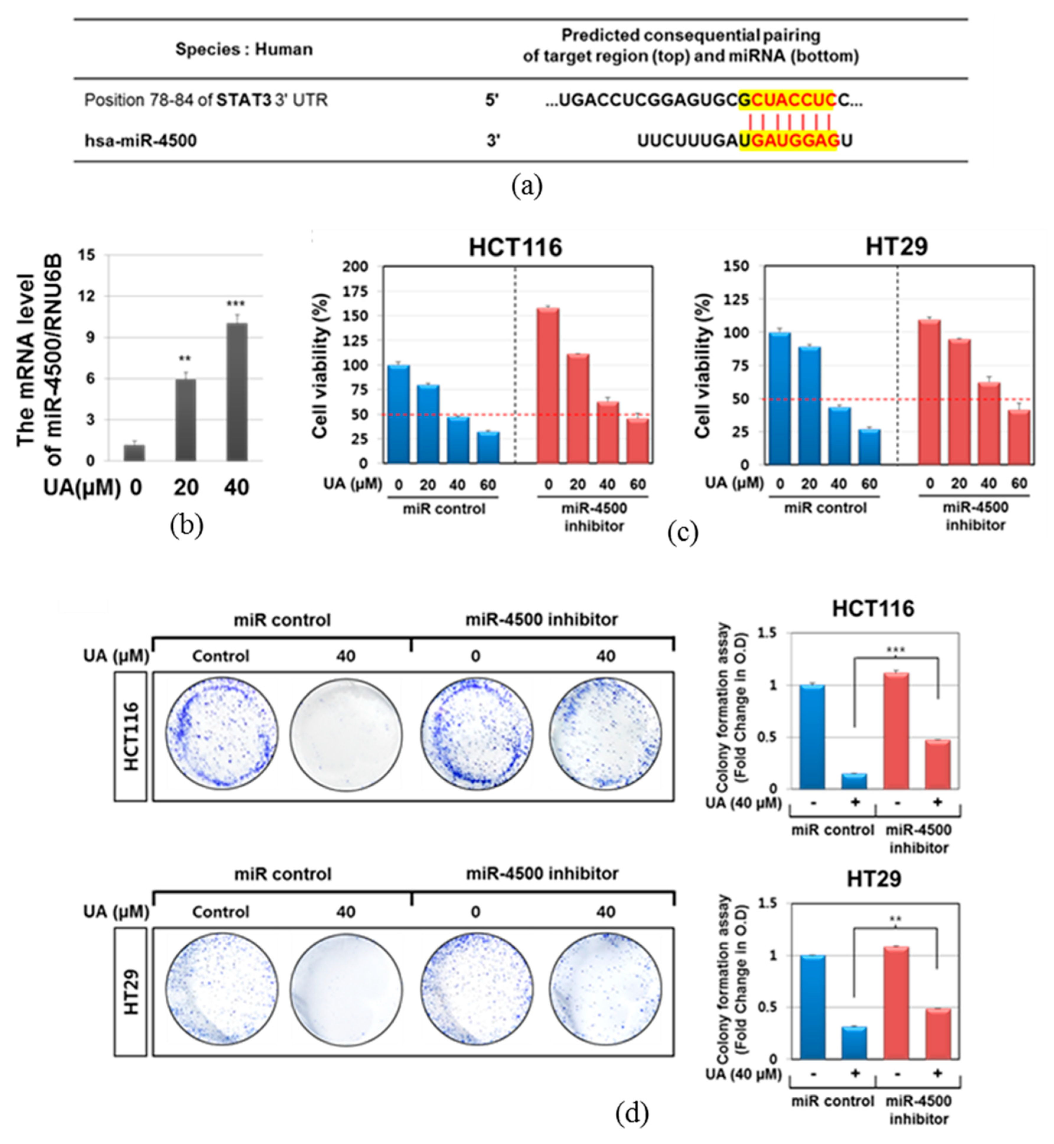 Ijms 20 00114 g004 Ijms 20 00114 g004