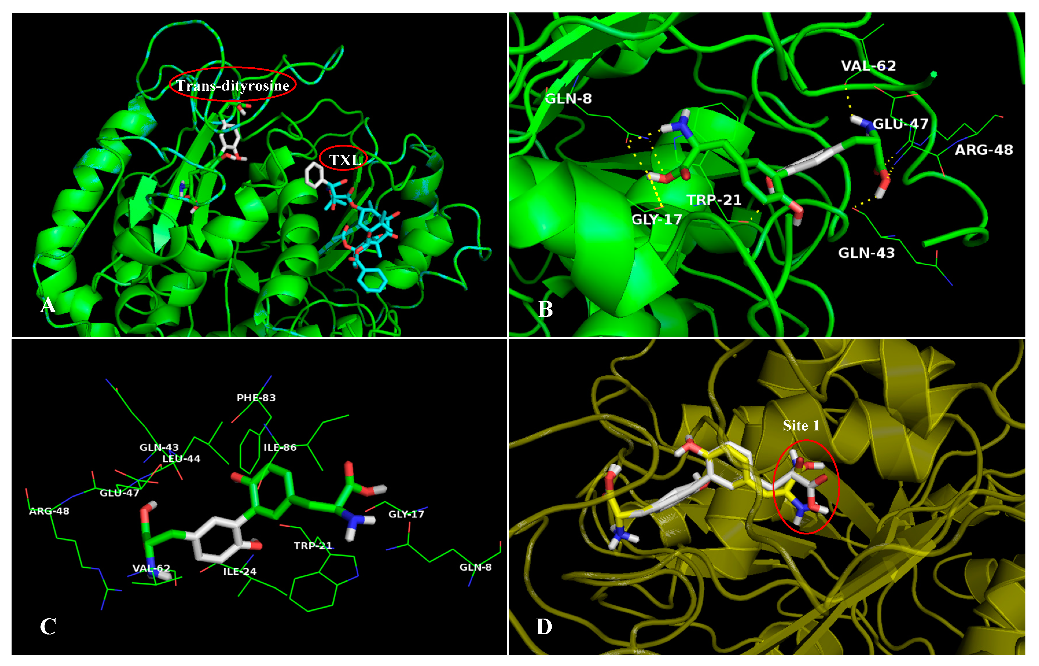 Ijms 20 00115 g009 Ijms 20 00115 g009