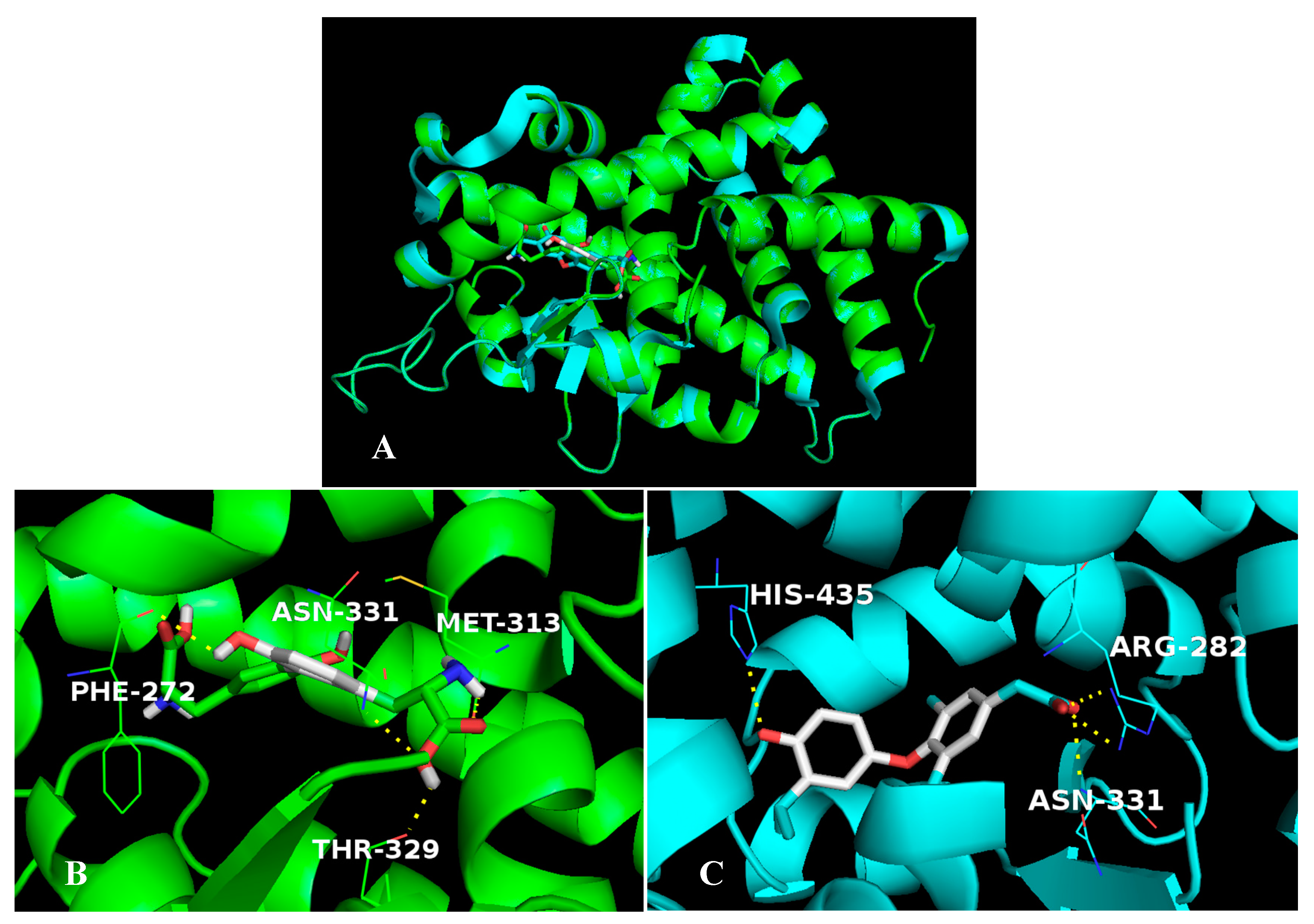 Ijms 20 00115 g010 Ijms 20 00115 g010