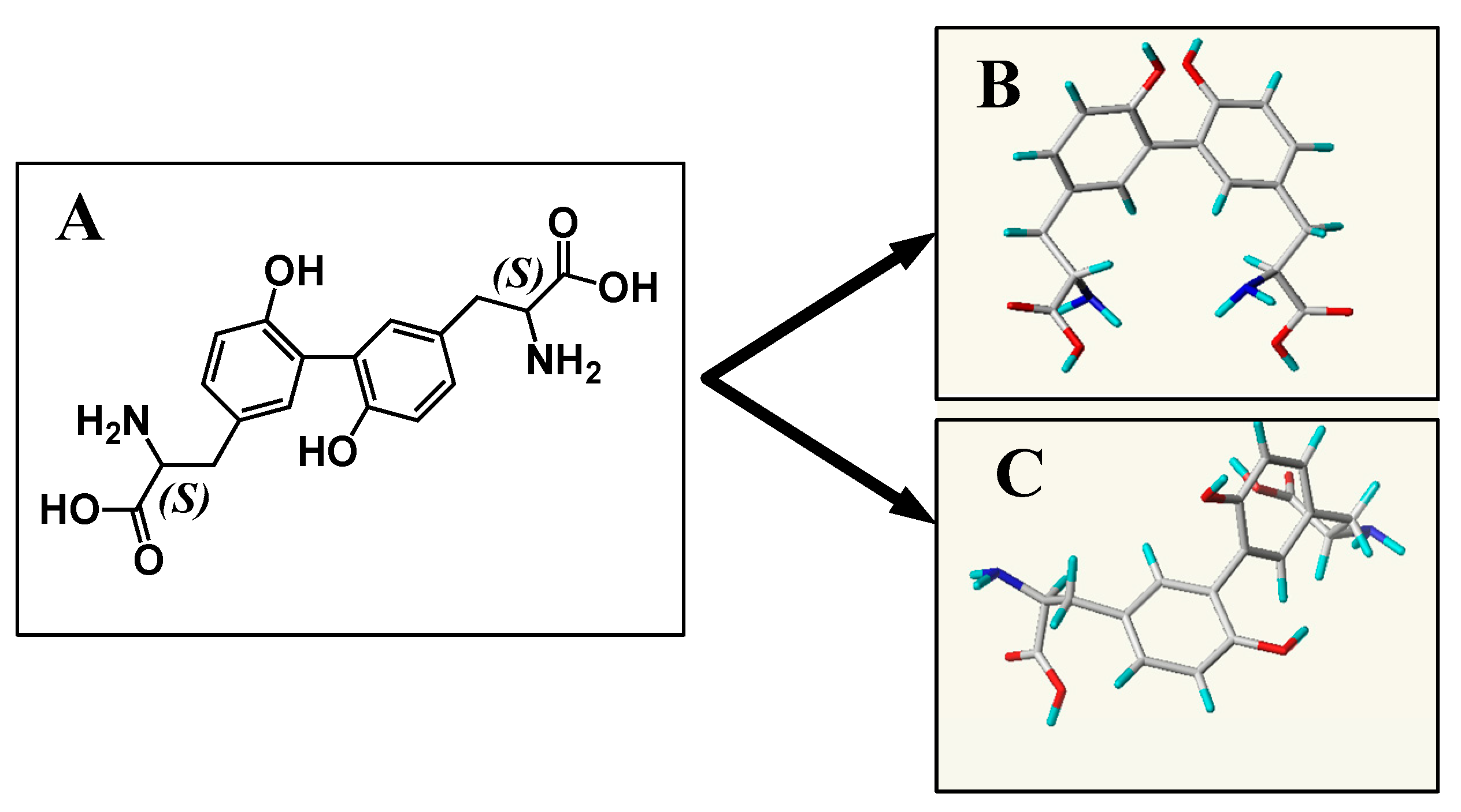 Ijms 20 00115 g011 Ijms 20 00115 g011