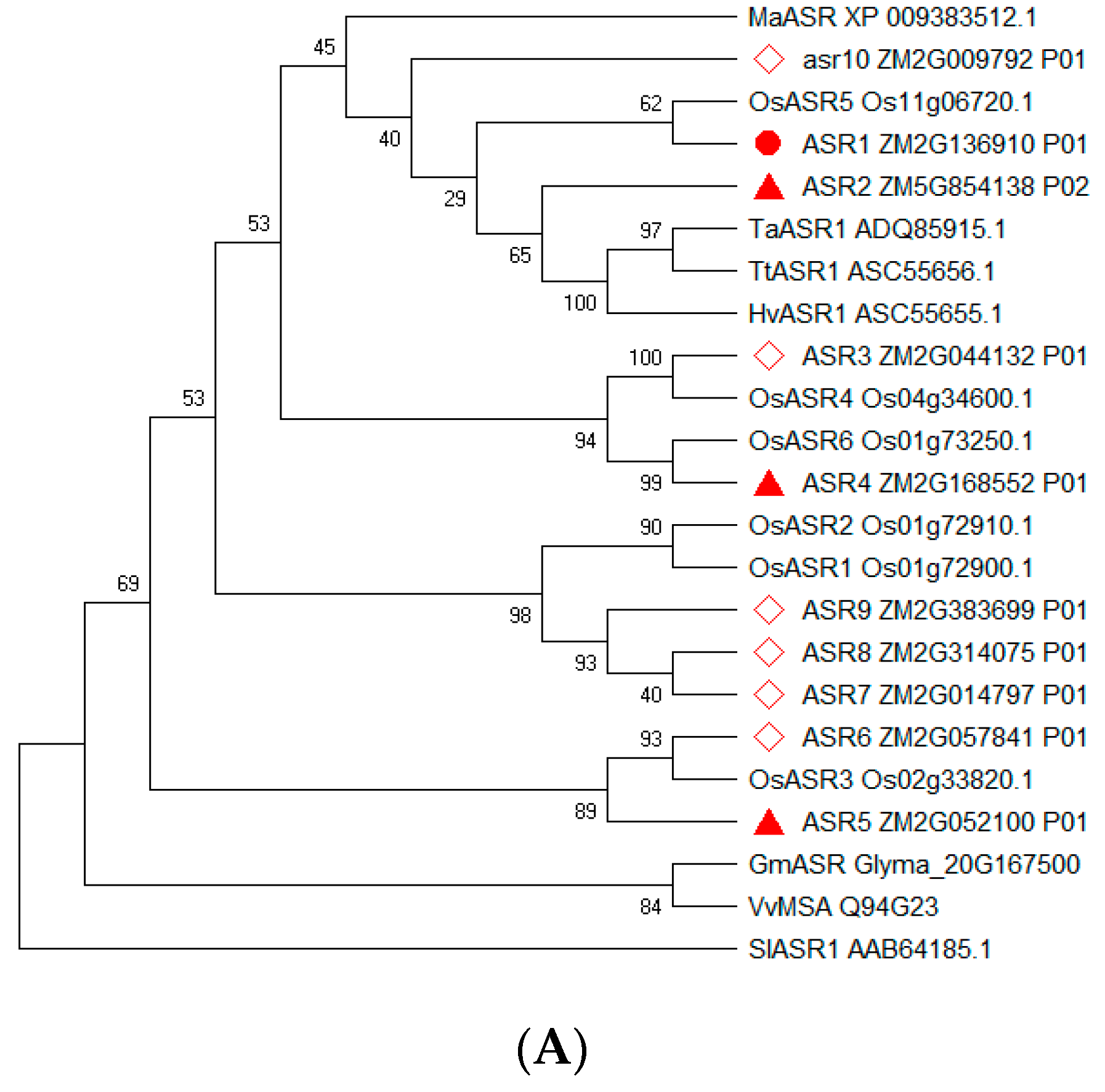 Ijms 20 00133 g001a