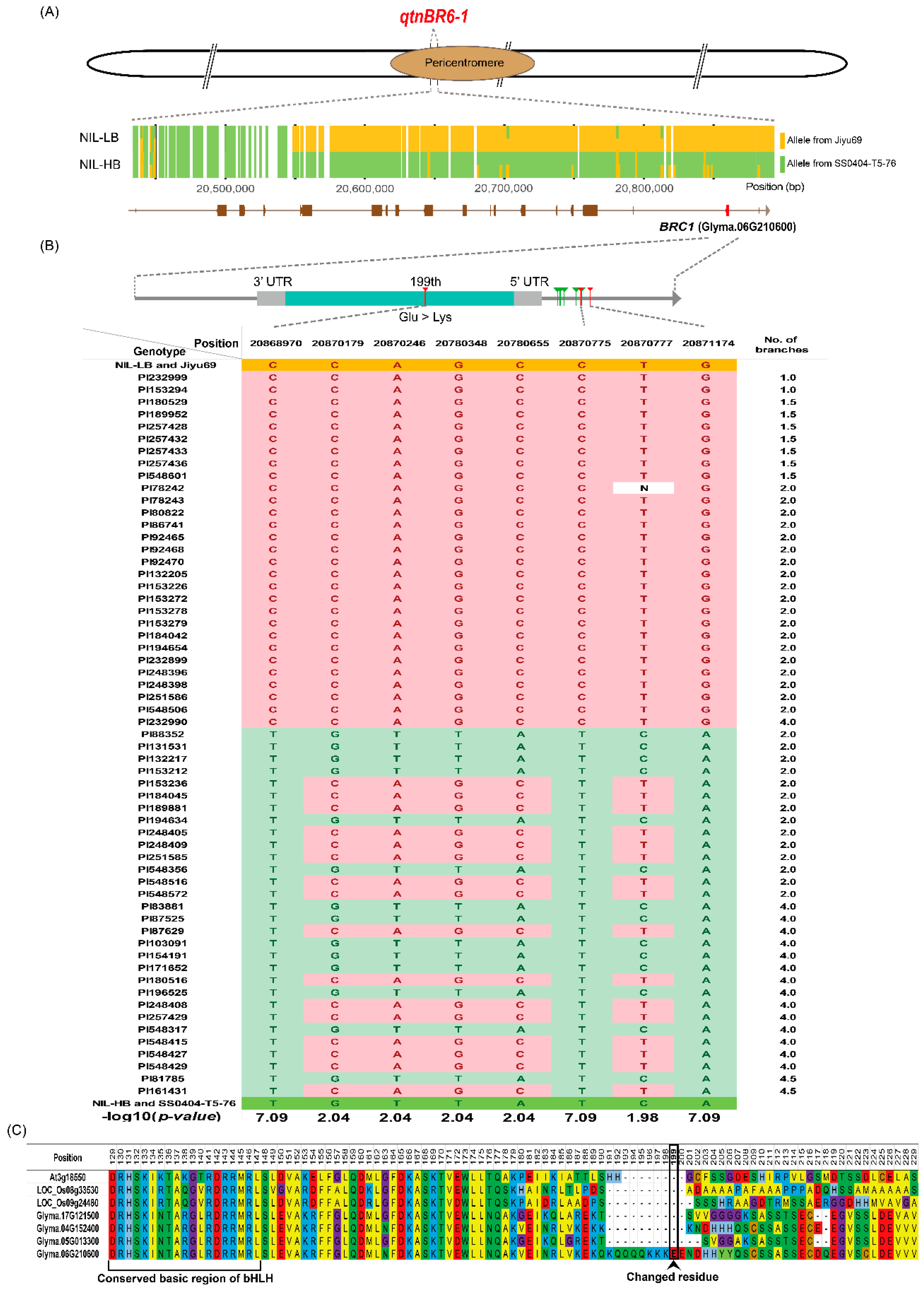 Ijms 20 00135 g004 Ijms 20 00135 g004