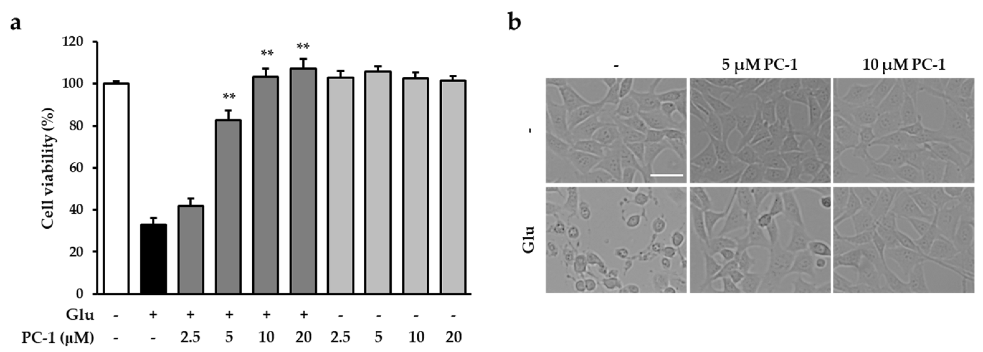 Ijms 20 00142 g002 Ijms 20 00142 g002