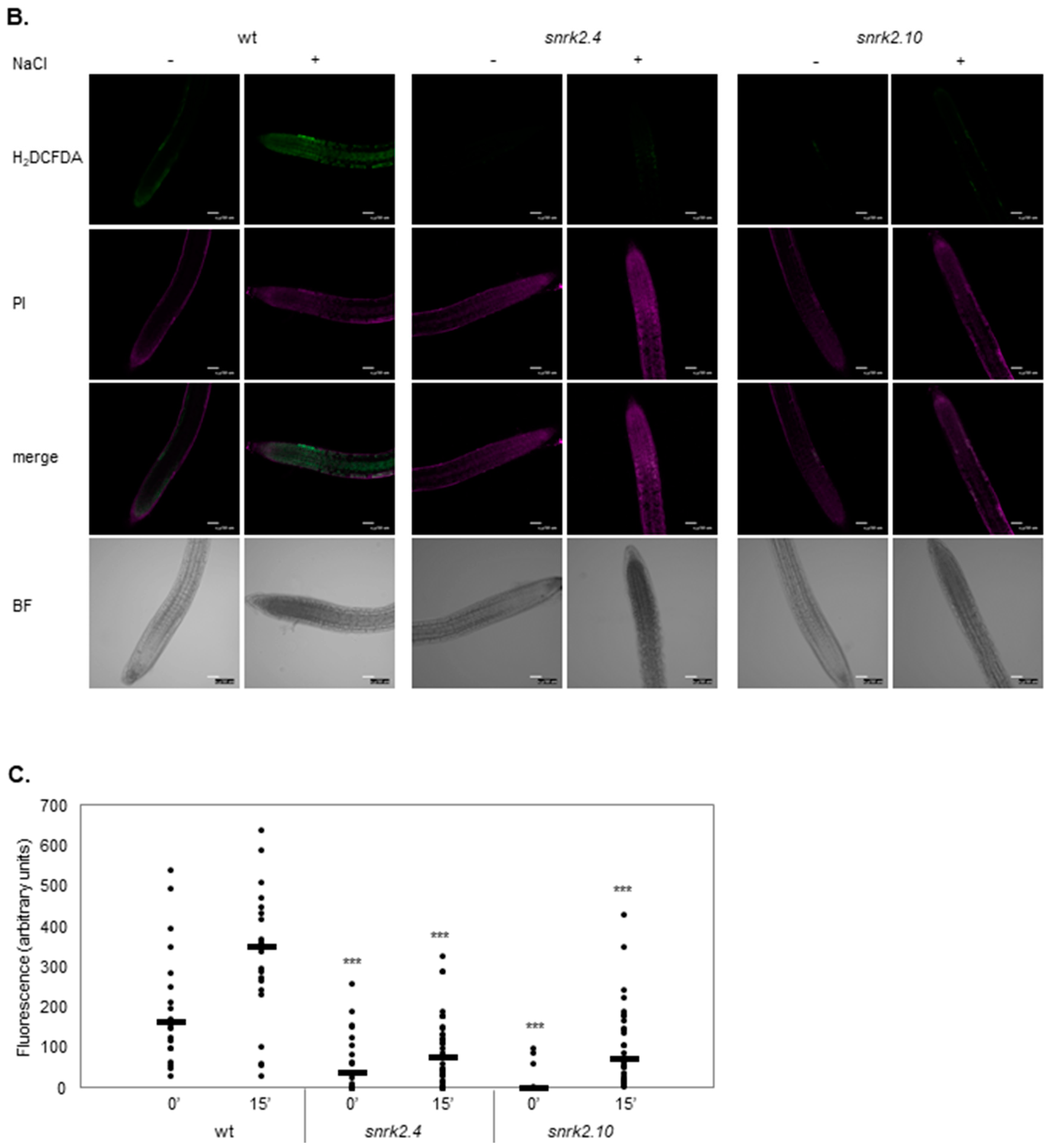 Ijms 20 00143 g001b Ijms 20 00143 g001b