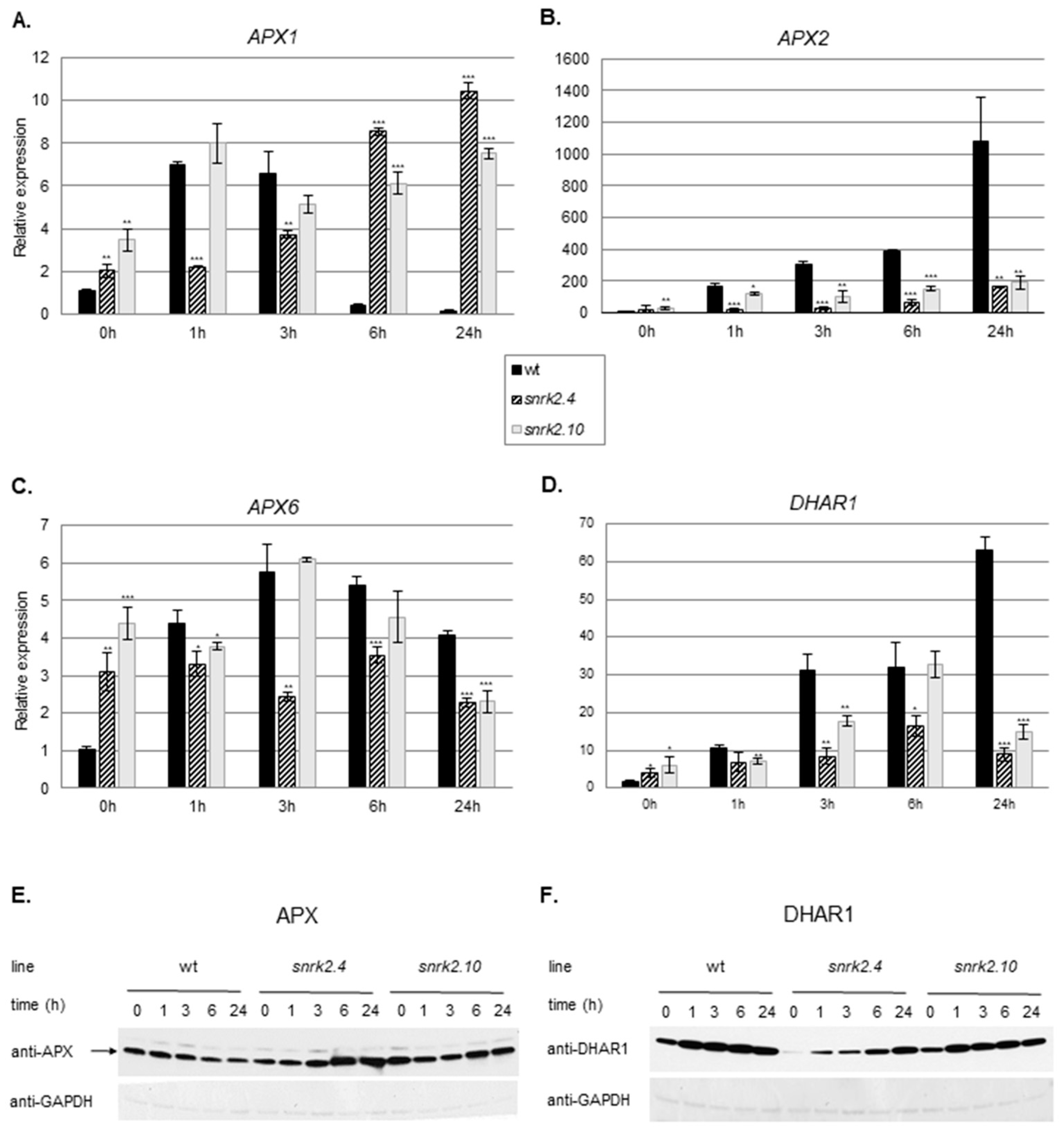 Ijms 20 00143 g004 Ijms 20 00143 g004