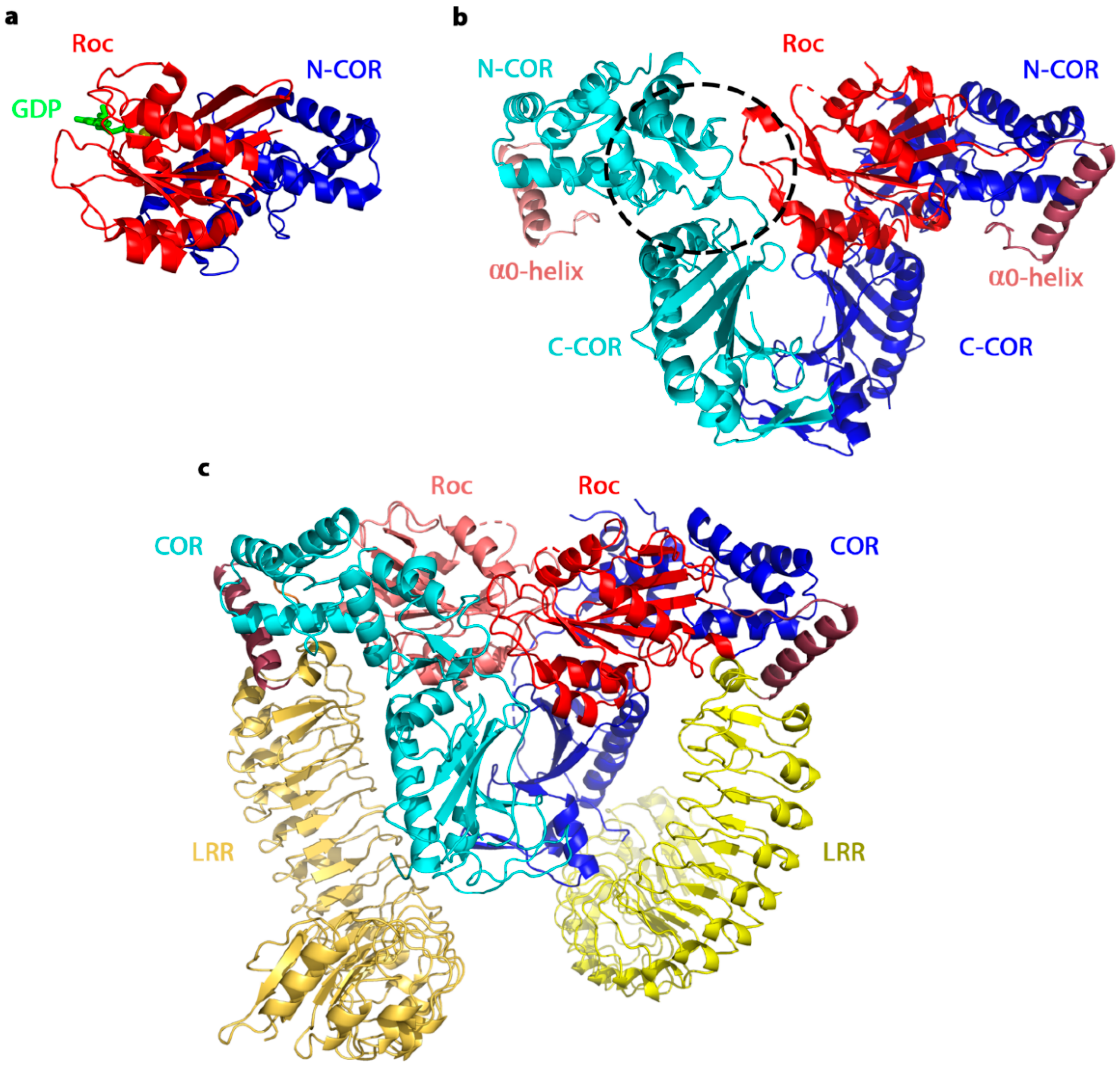 Ijms 20 00147 g003 Ijms 20 00147 g003