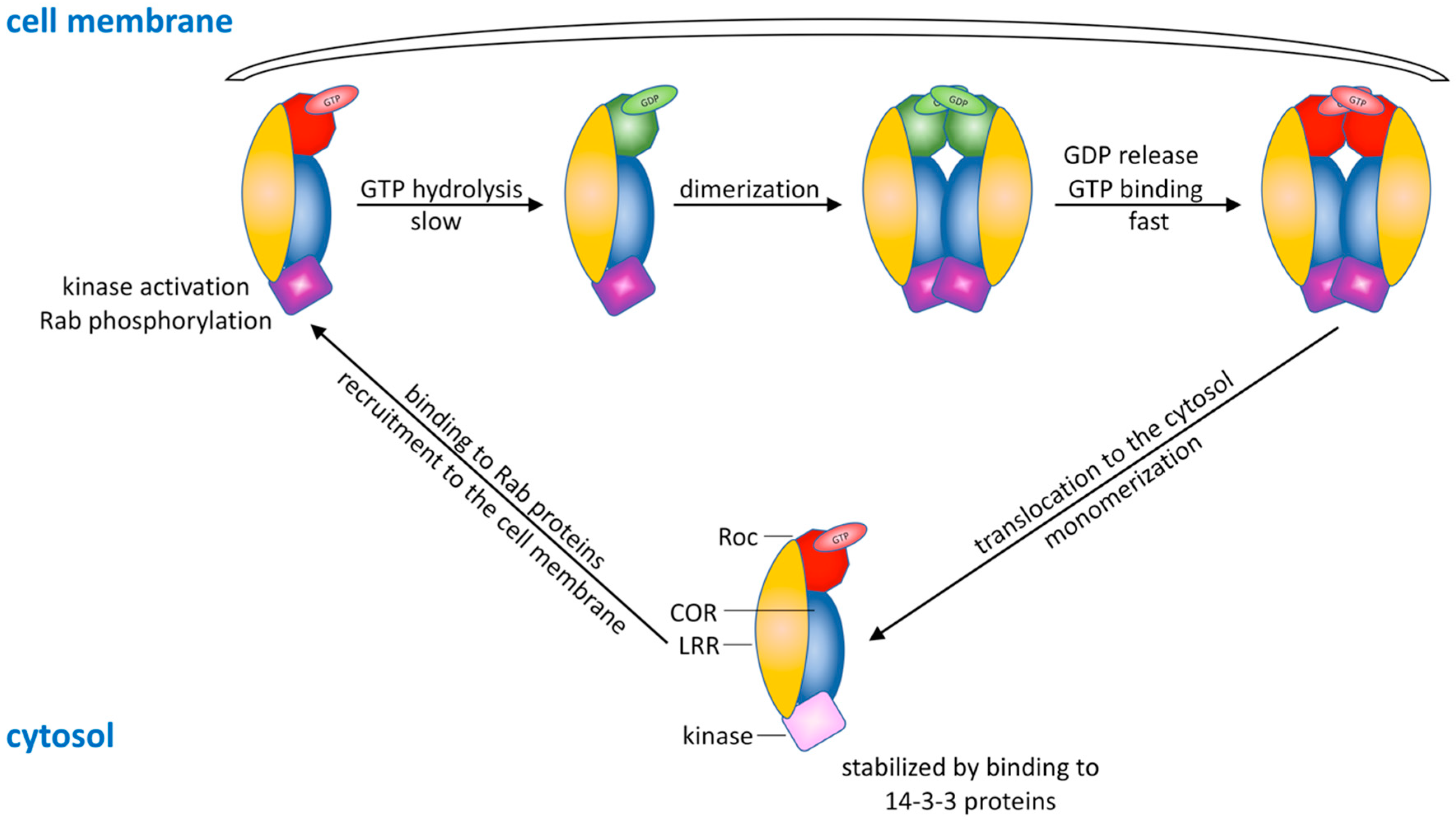 Ijms 20 00147 g005 Ijms 20 00147 g005
