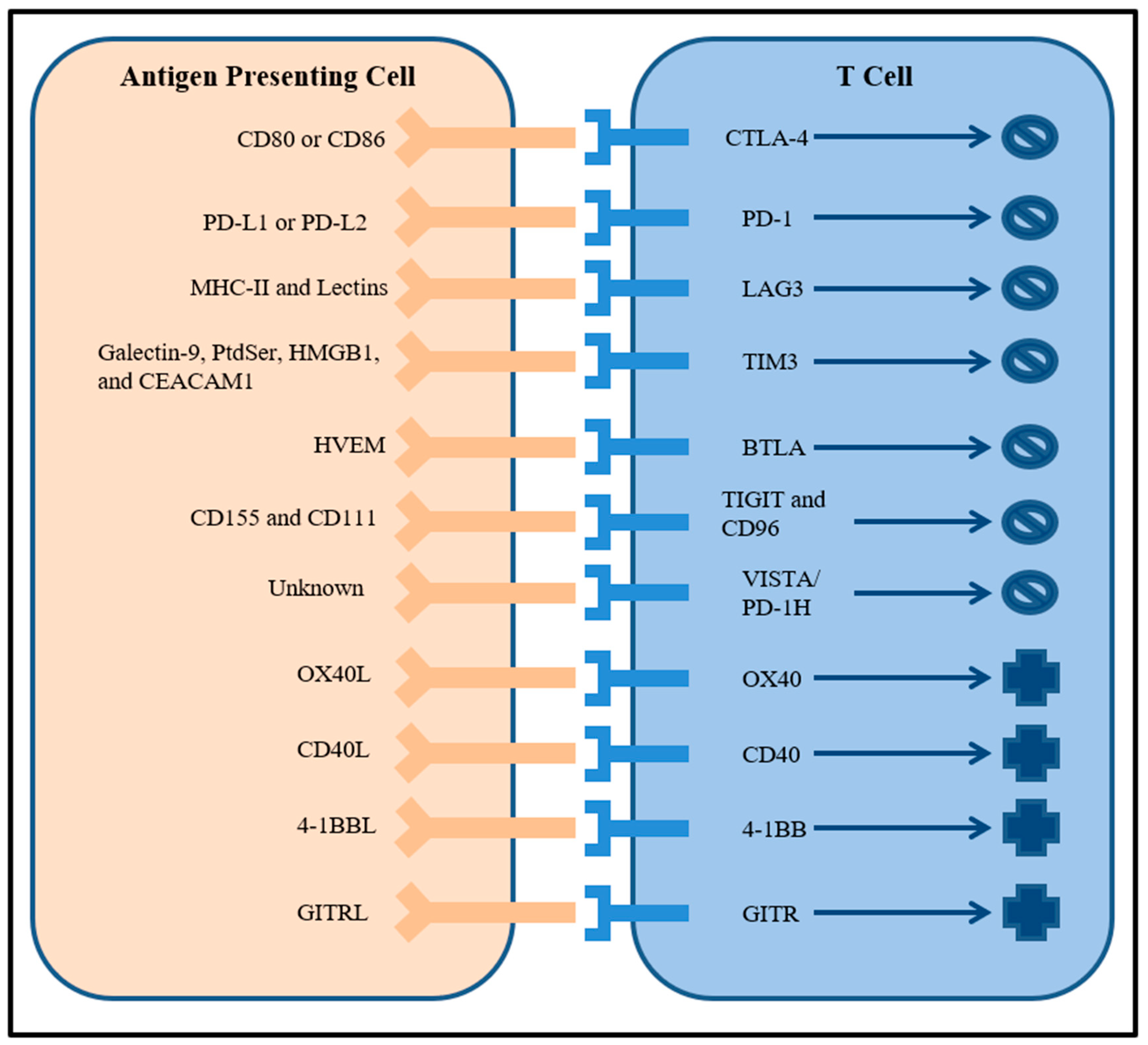 Ijms 20 00158 g001