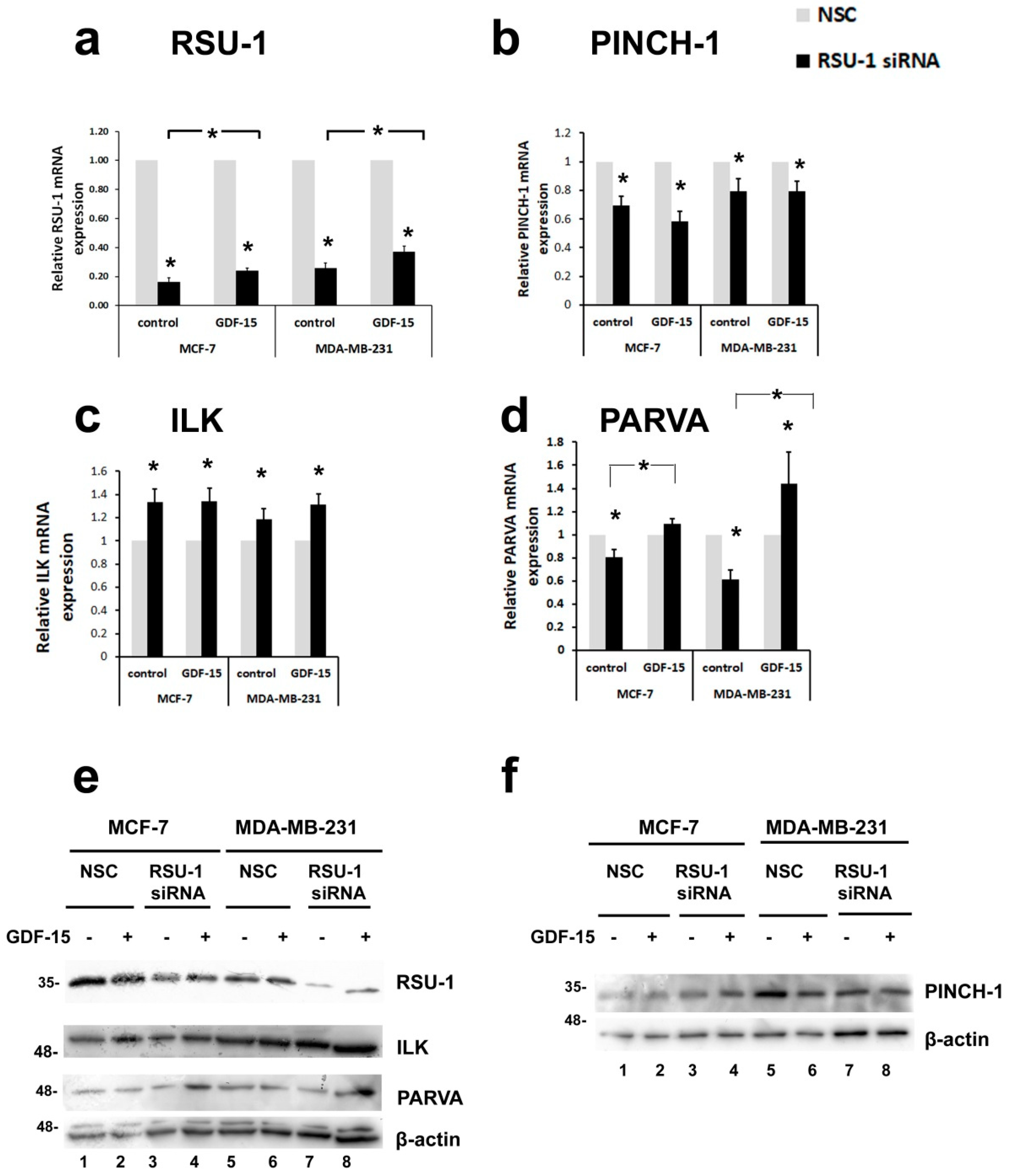 Ijms 20 00163 g003 Ijms 20 00163 g003