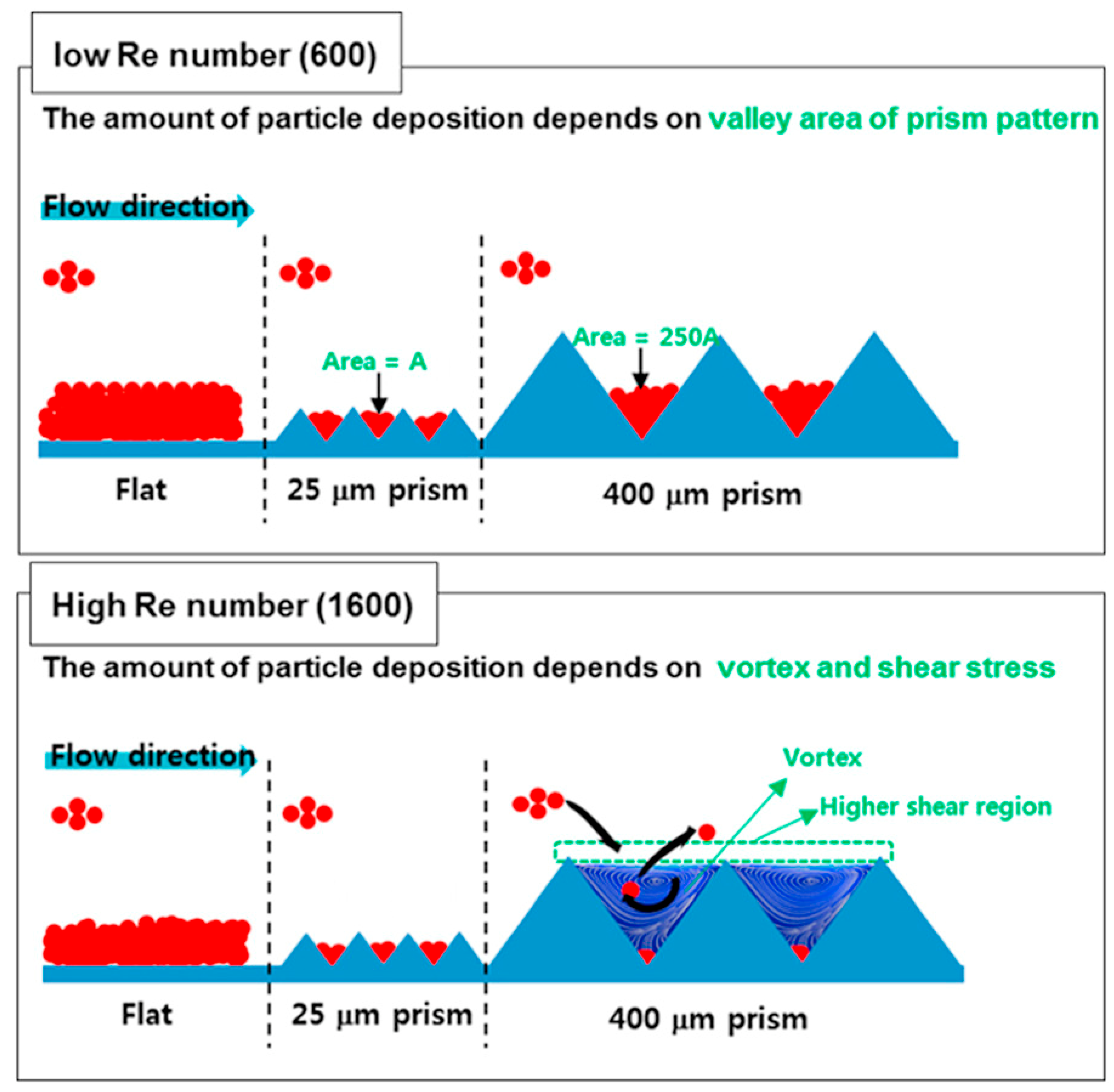 Ijms 20 00165 g003 Ijms 20 00165 g003