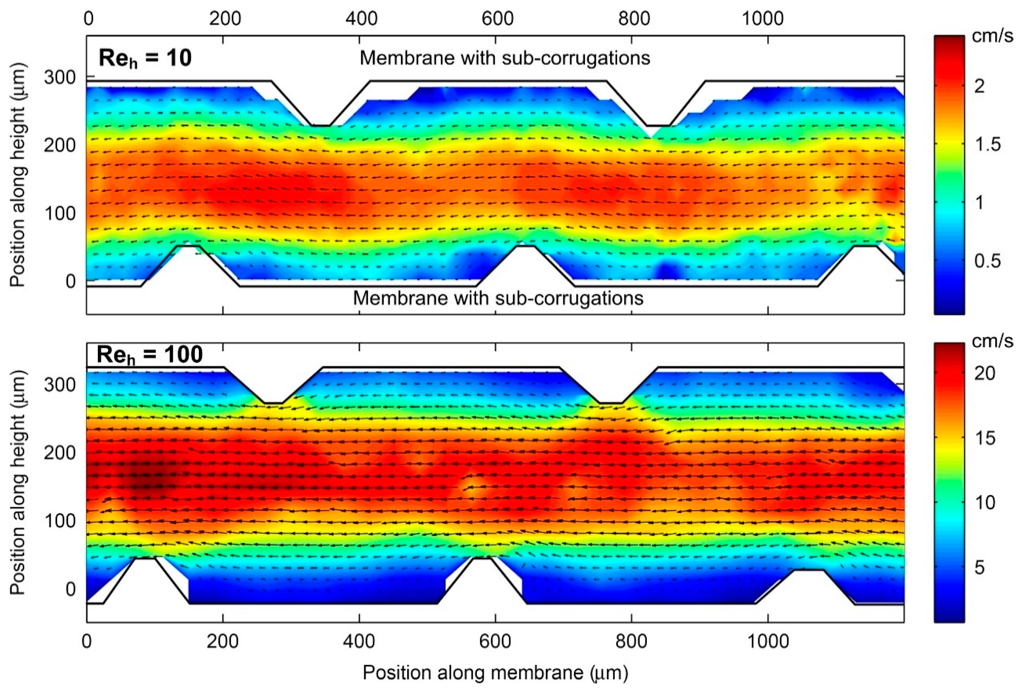 Ijms 20 00165 g004 Ijms 20 00165 g004