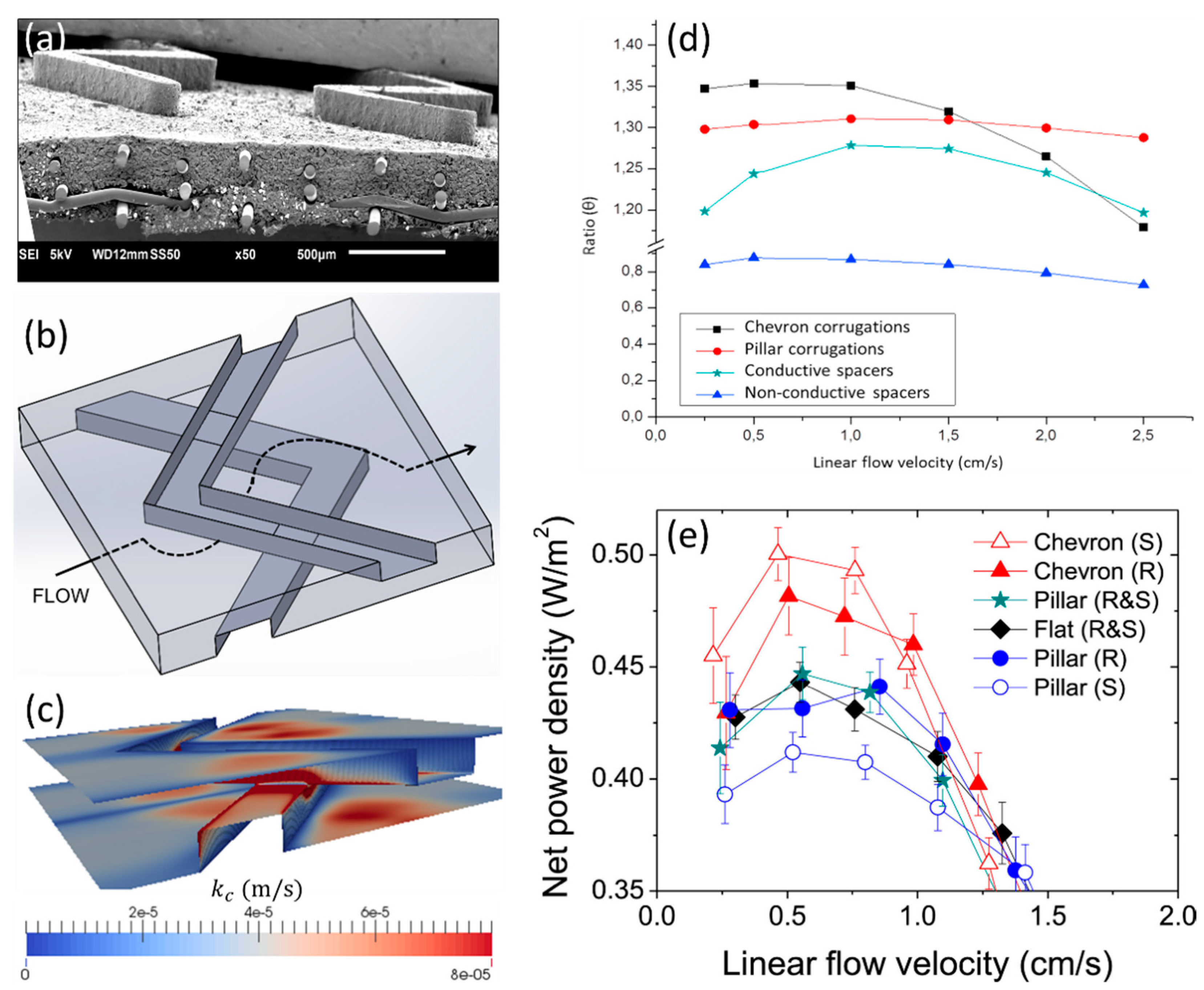 Ijms 20 00165 g005 Ijms 20 00165 g005