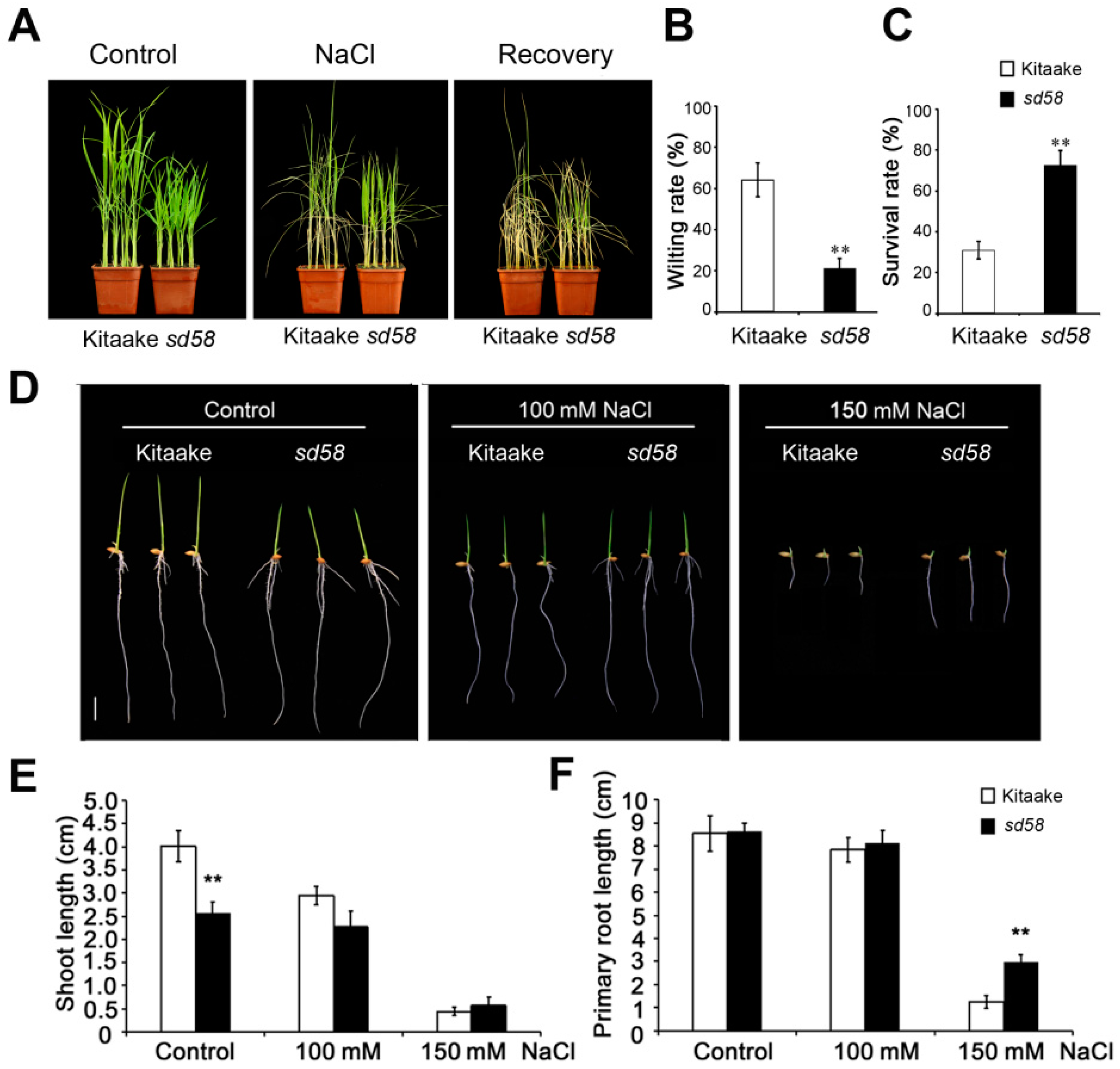 Ijms 20 00167 g001 Ijms 20 00167 g001