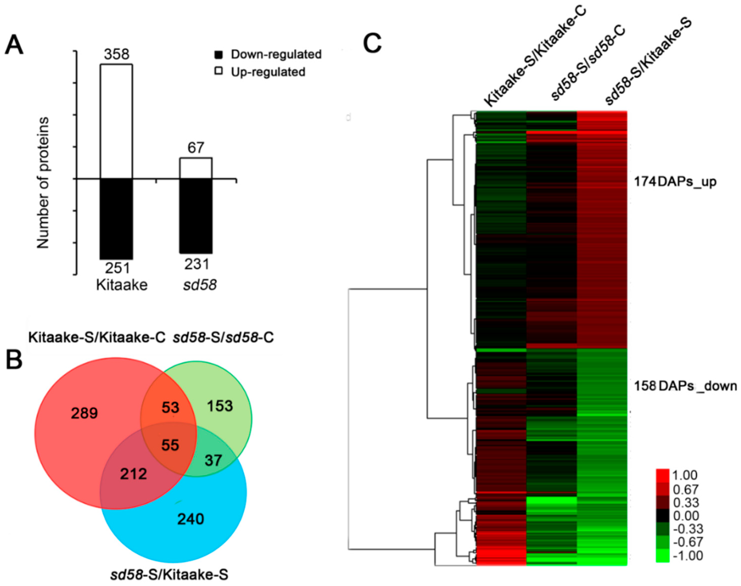 Ijms 20 00167 g003 Ijms 20 00167 g003
