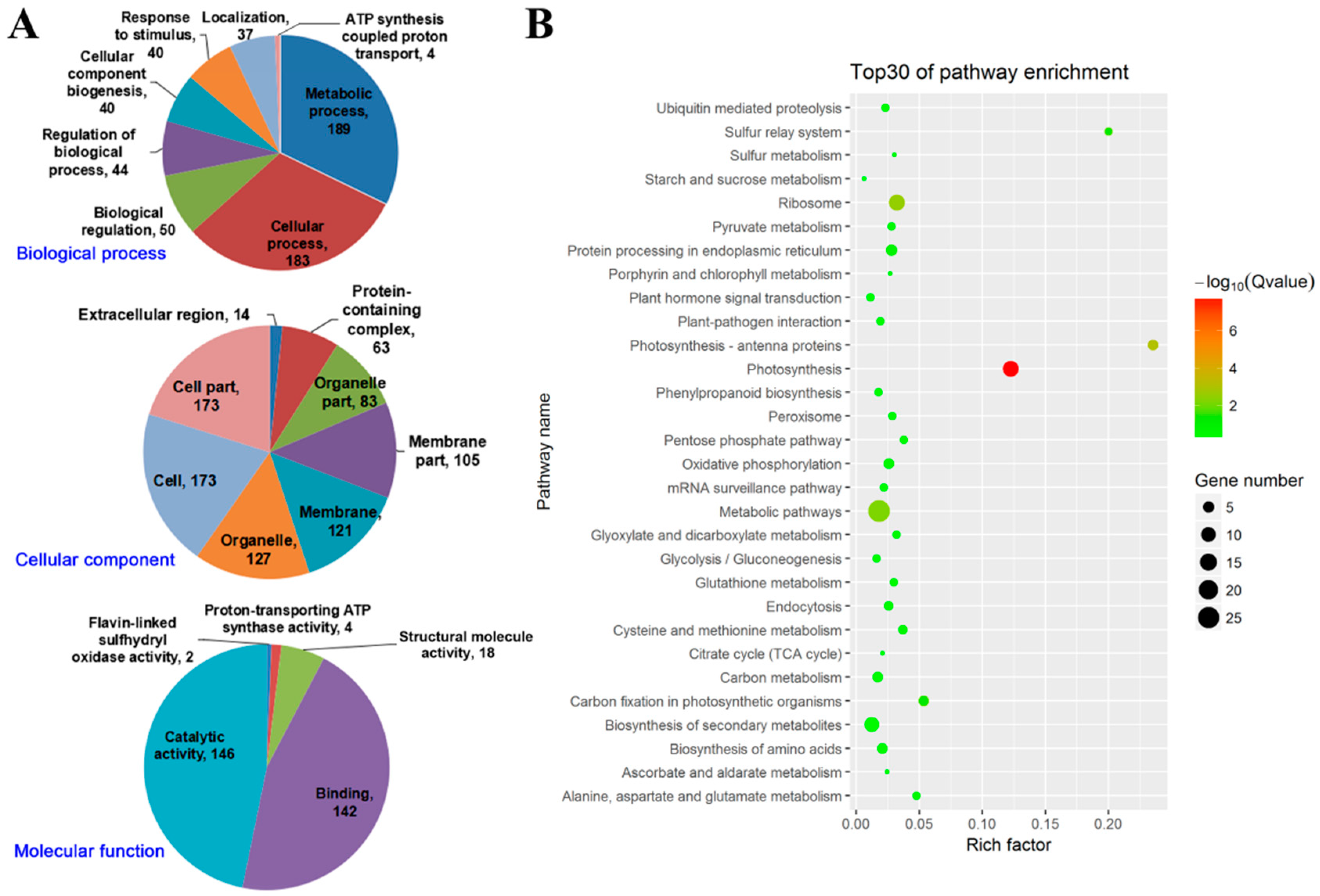Ijms 20 00167 g004 Ijms 20 00167 g004