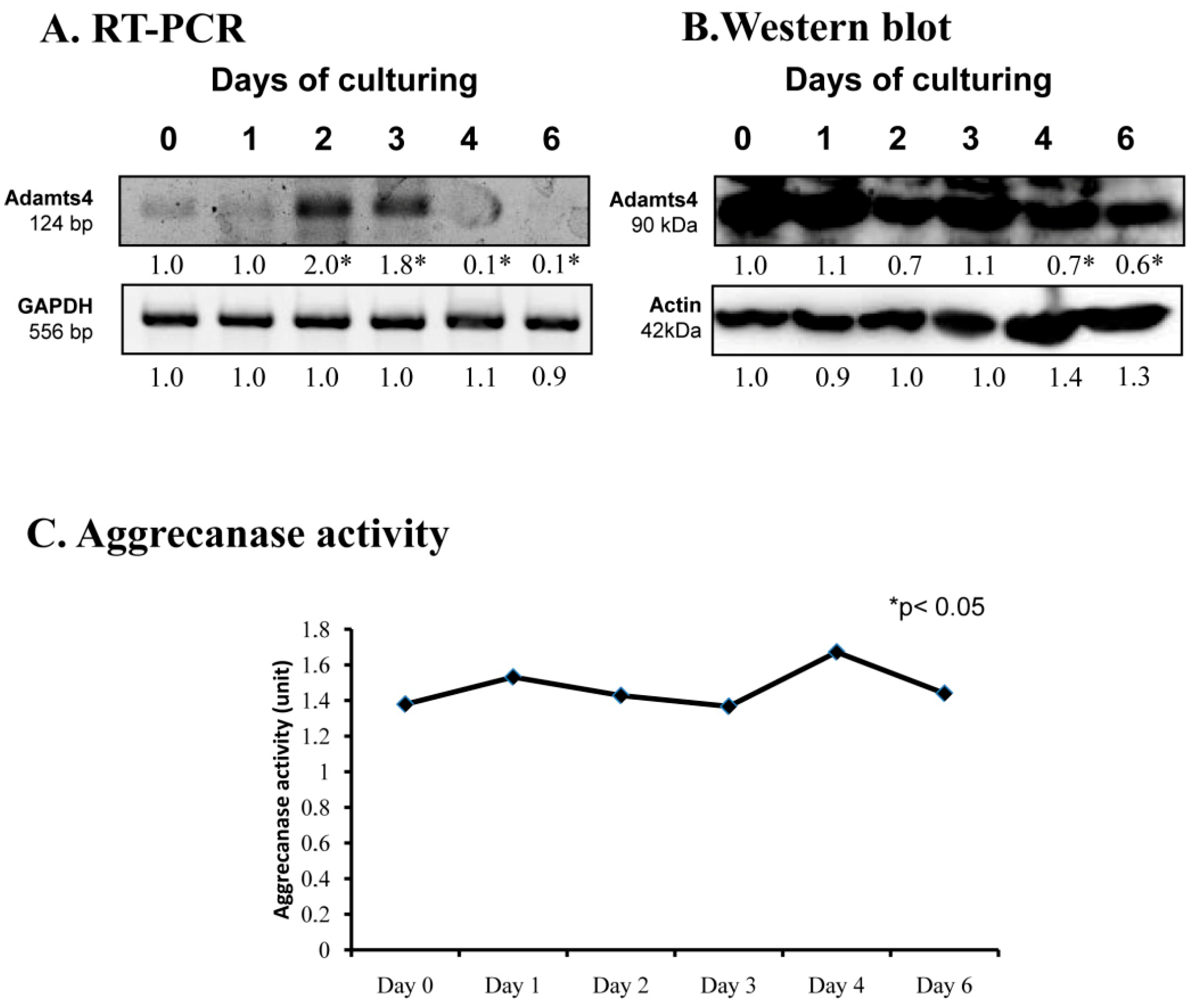 Ijms 20 00168 g003 Ijms 20 00168 g003