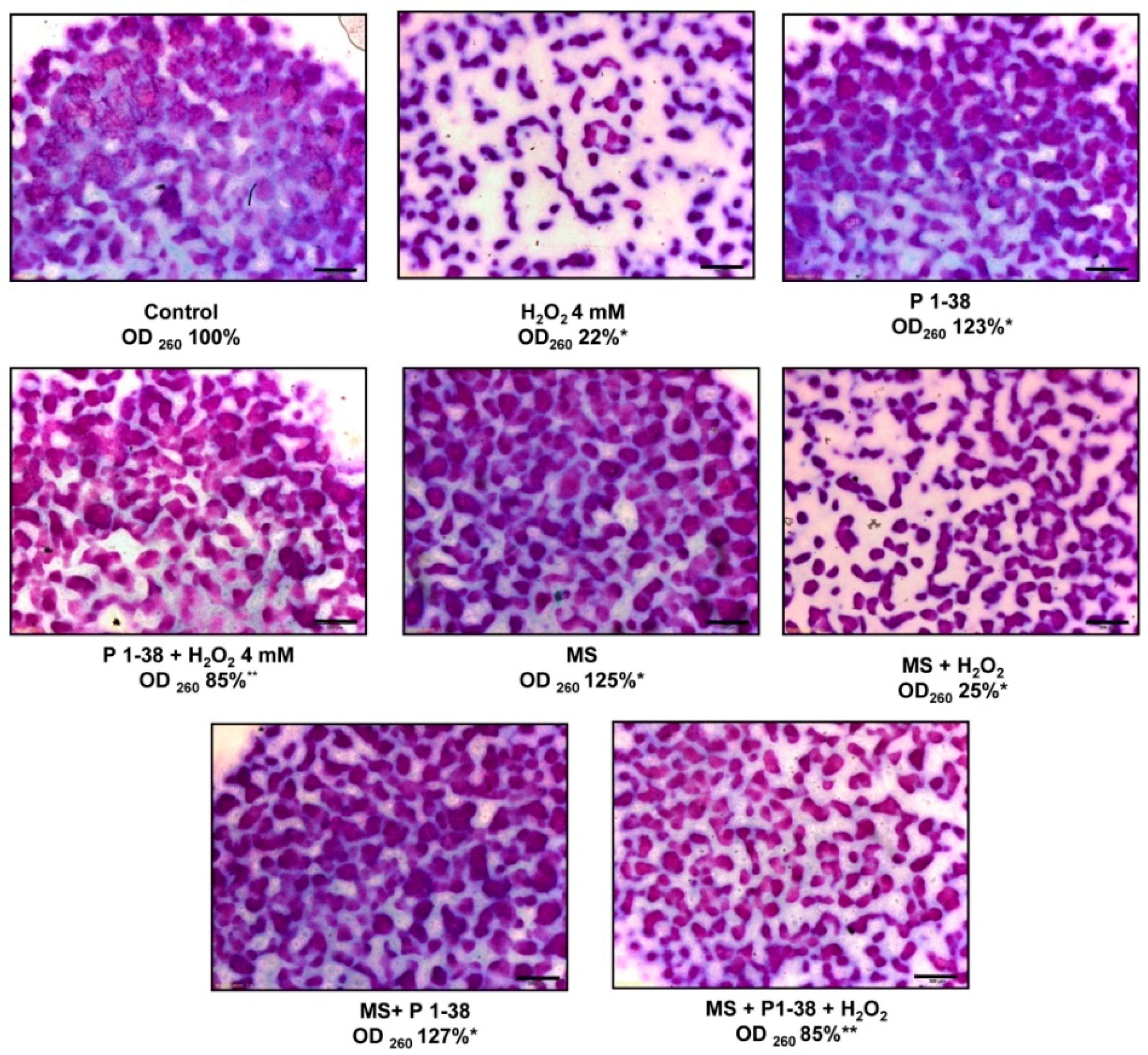 Ijms 20 00168 g004 Ijms 20 00168 g004