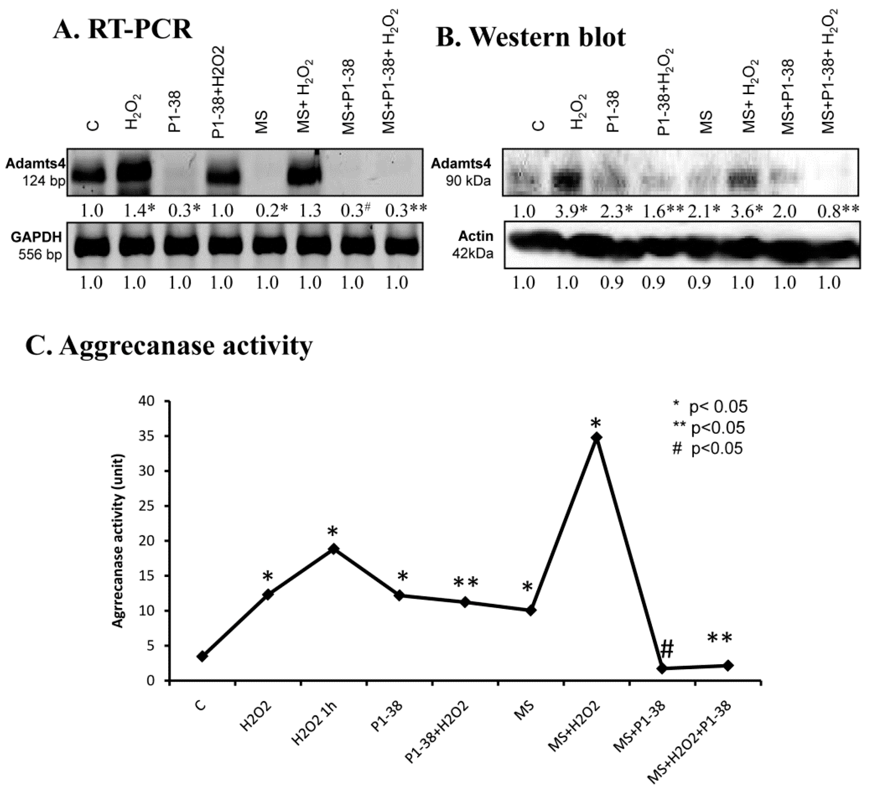 Ijms 20 00168 g007 Ijms 20 00168 g007