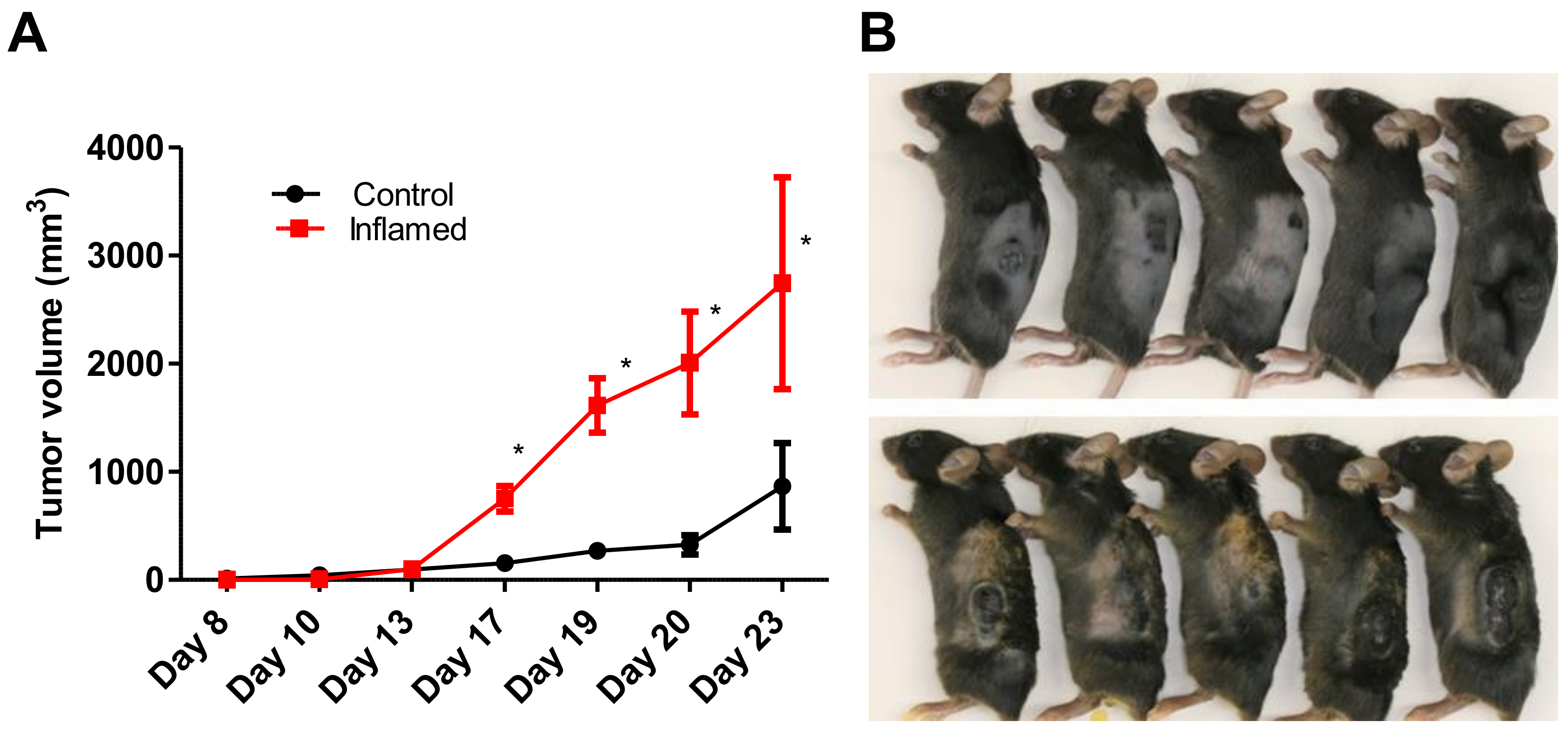Ijms 20 00169 g002 Ijms 20 00169 g002