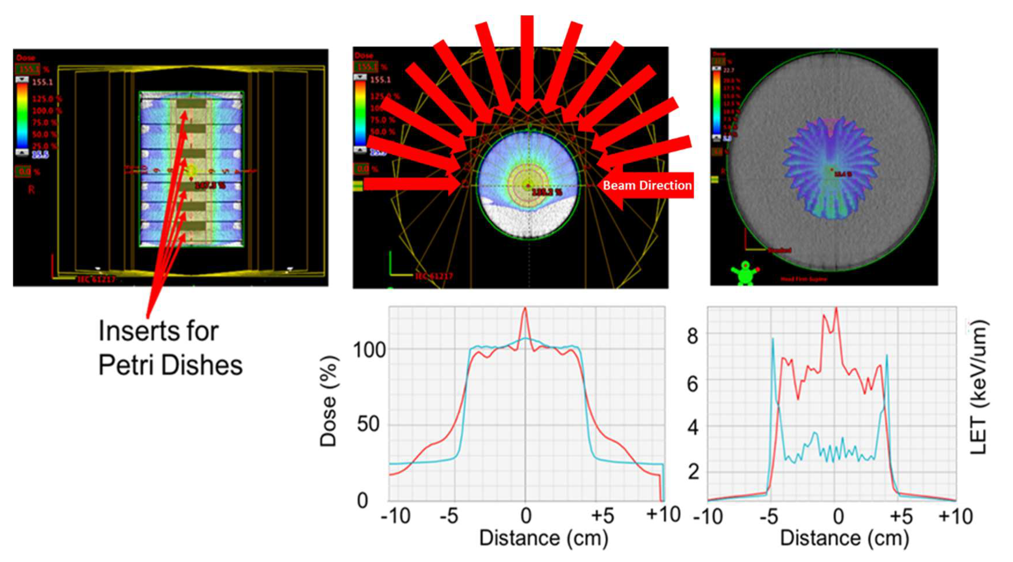 Ijms 20 00176 g005 Ijms 20 00176 g005