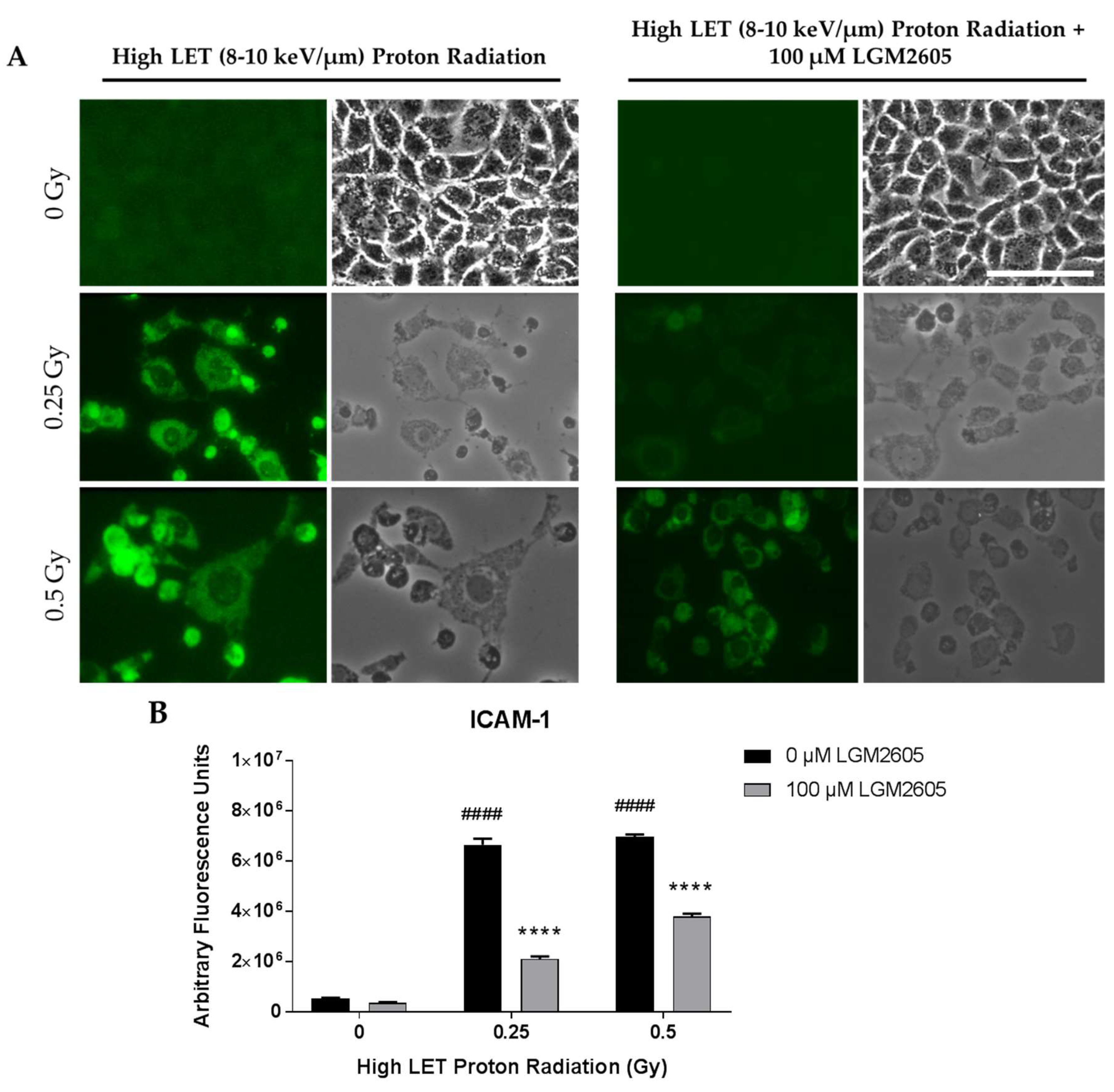 Ijms 20 00176 g007 Ijms 20 00176 g007