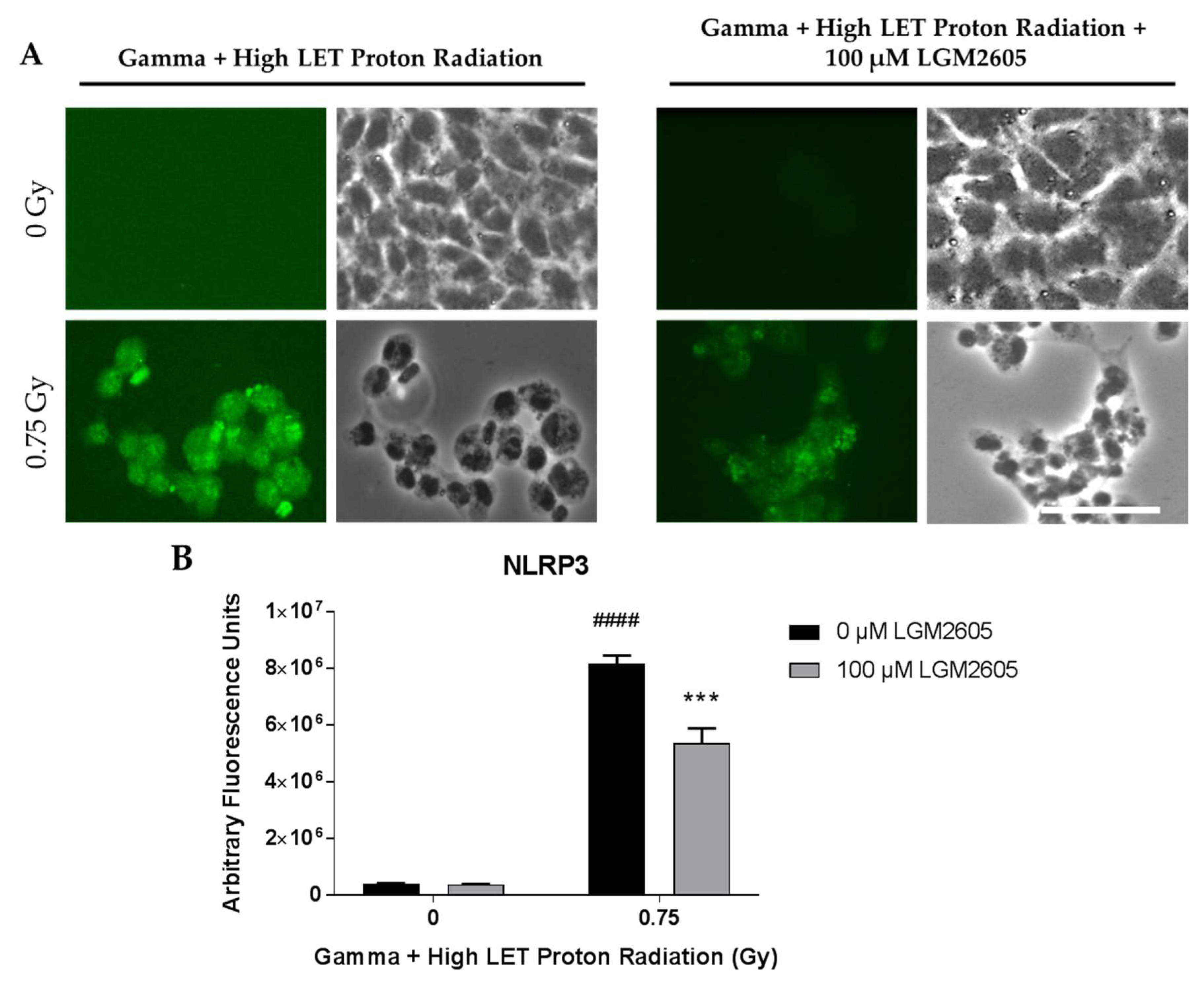 Ijms 20 00176 g008 Ijms 20 00176 g008