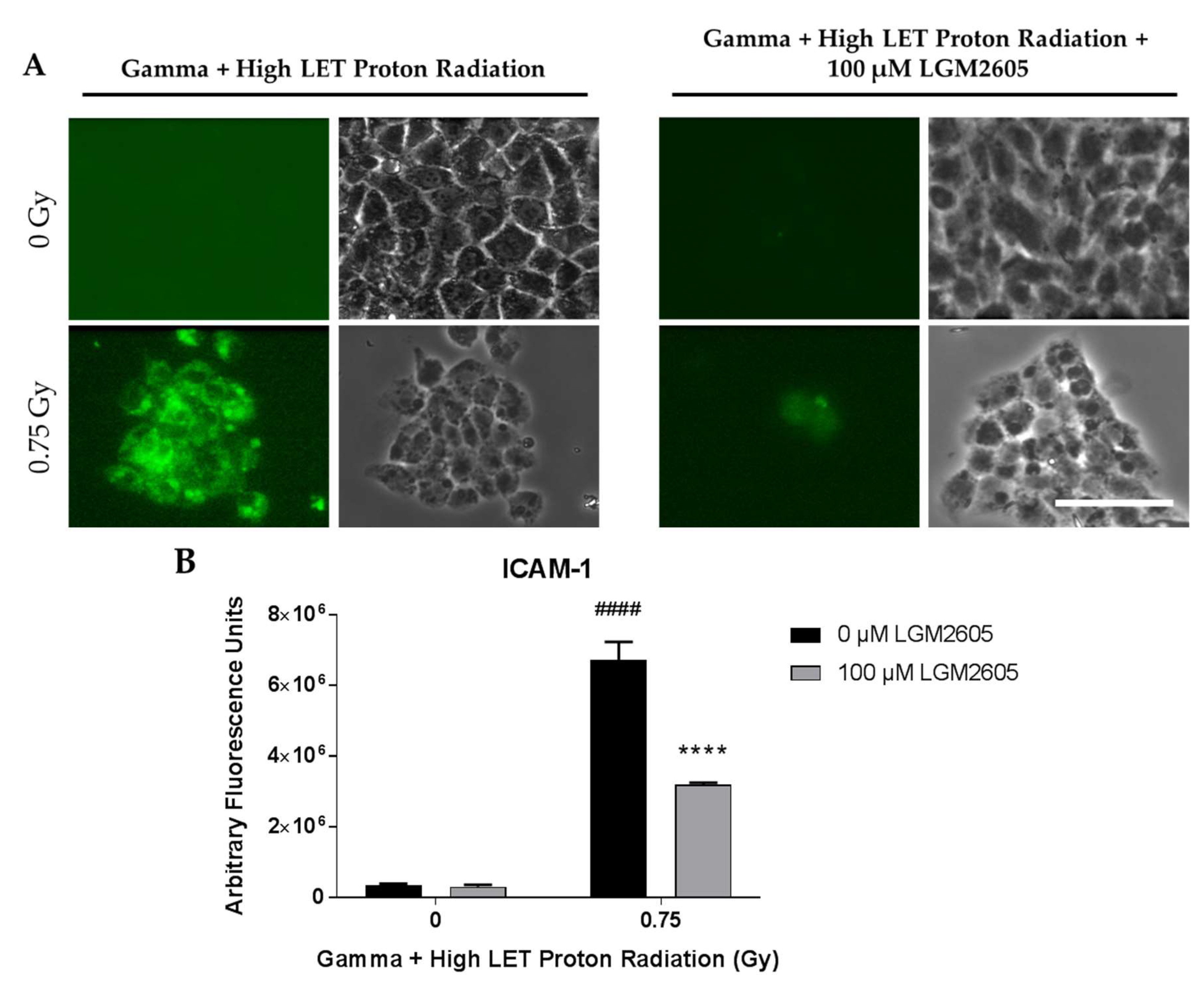 Ijms 20 00176 g009 Ijms 20 00176 g009
