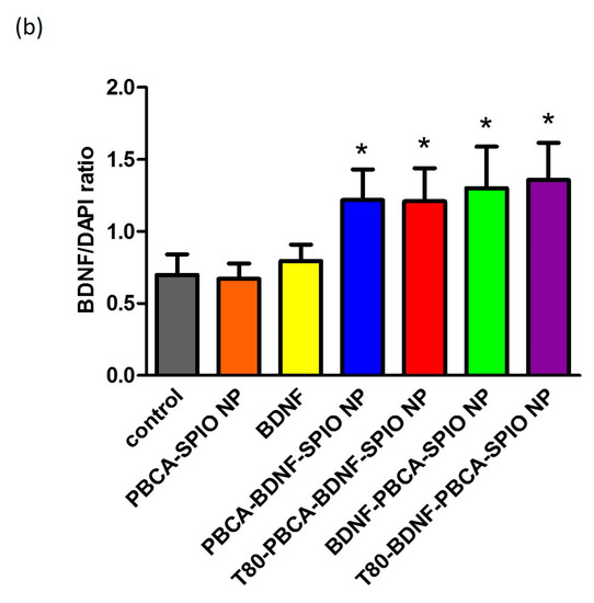 Ijms Impact Factor