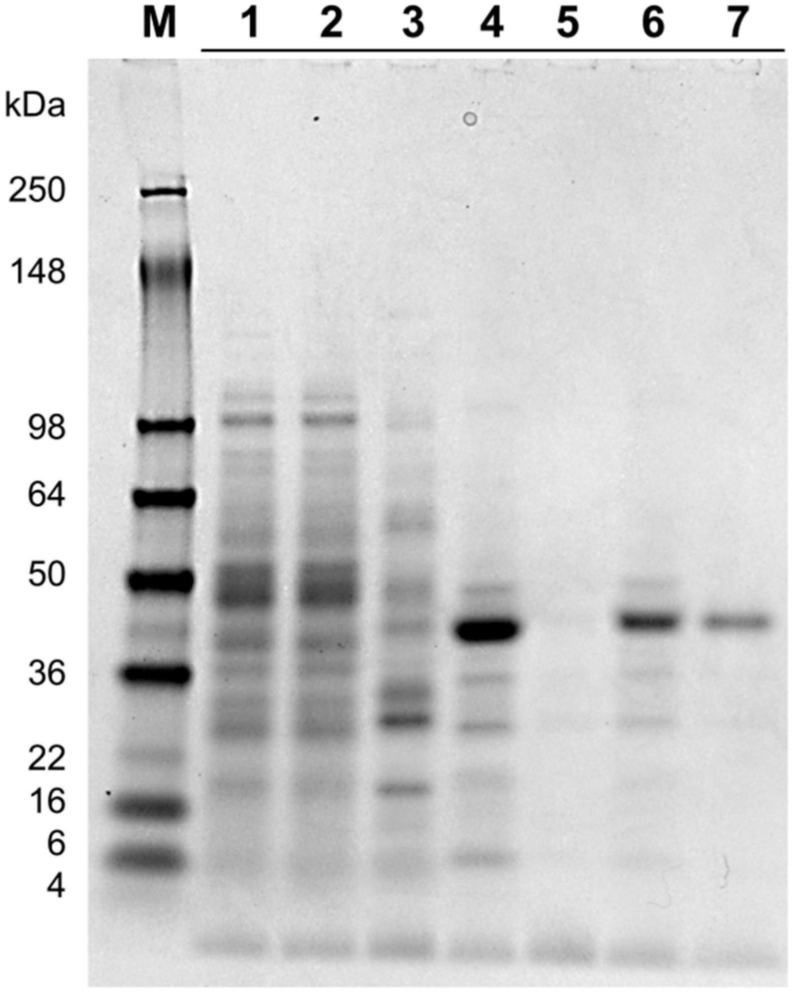 Ijms 20 00185 g001