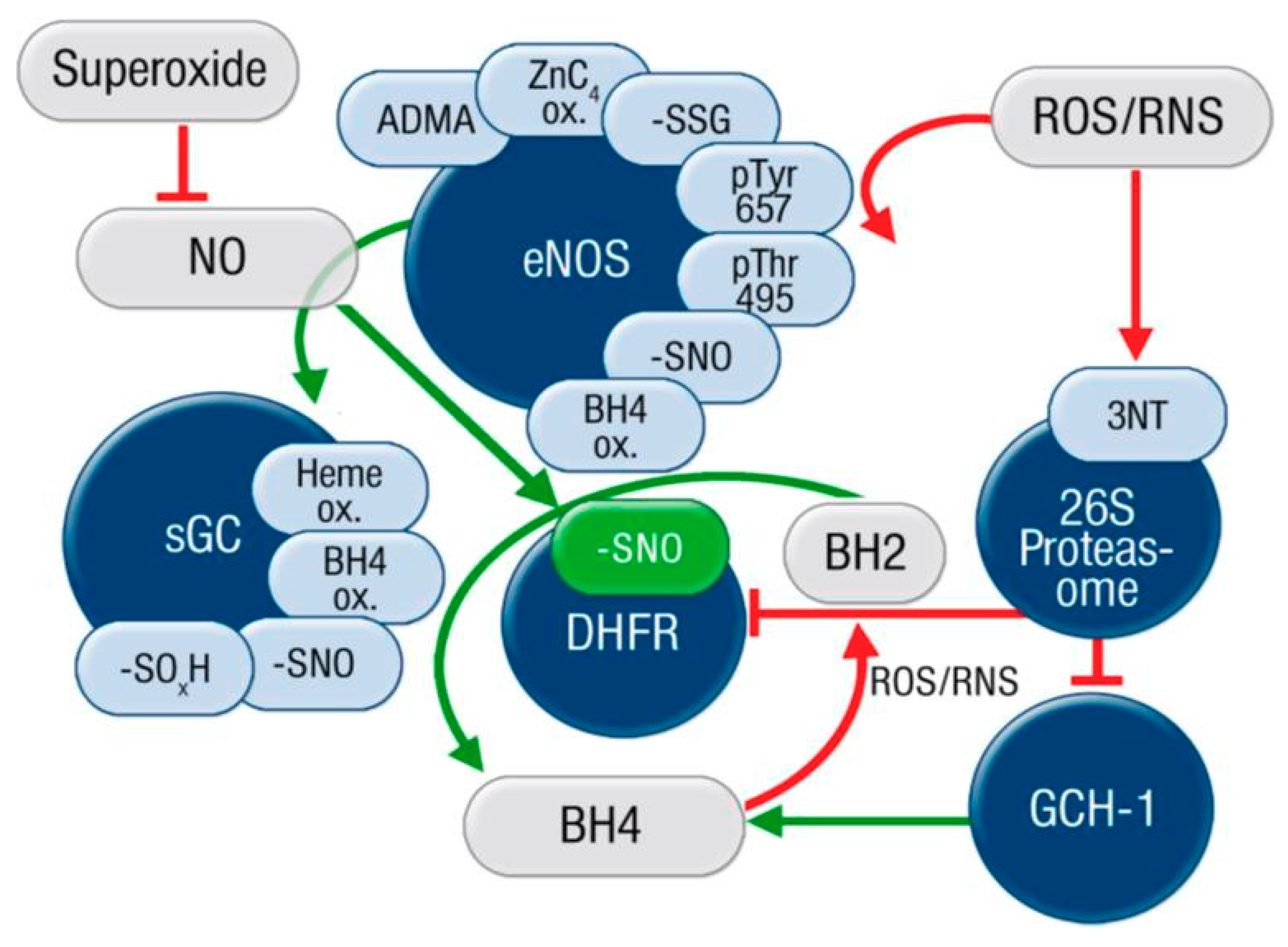 Ijms 20 00187 g006