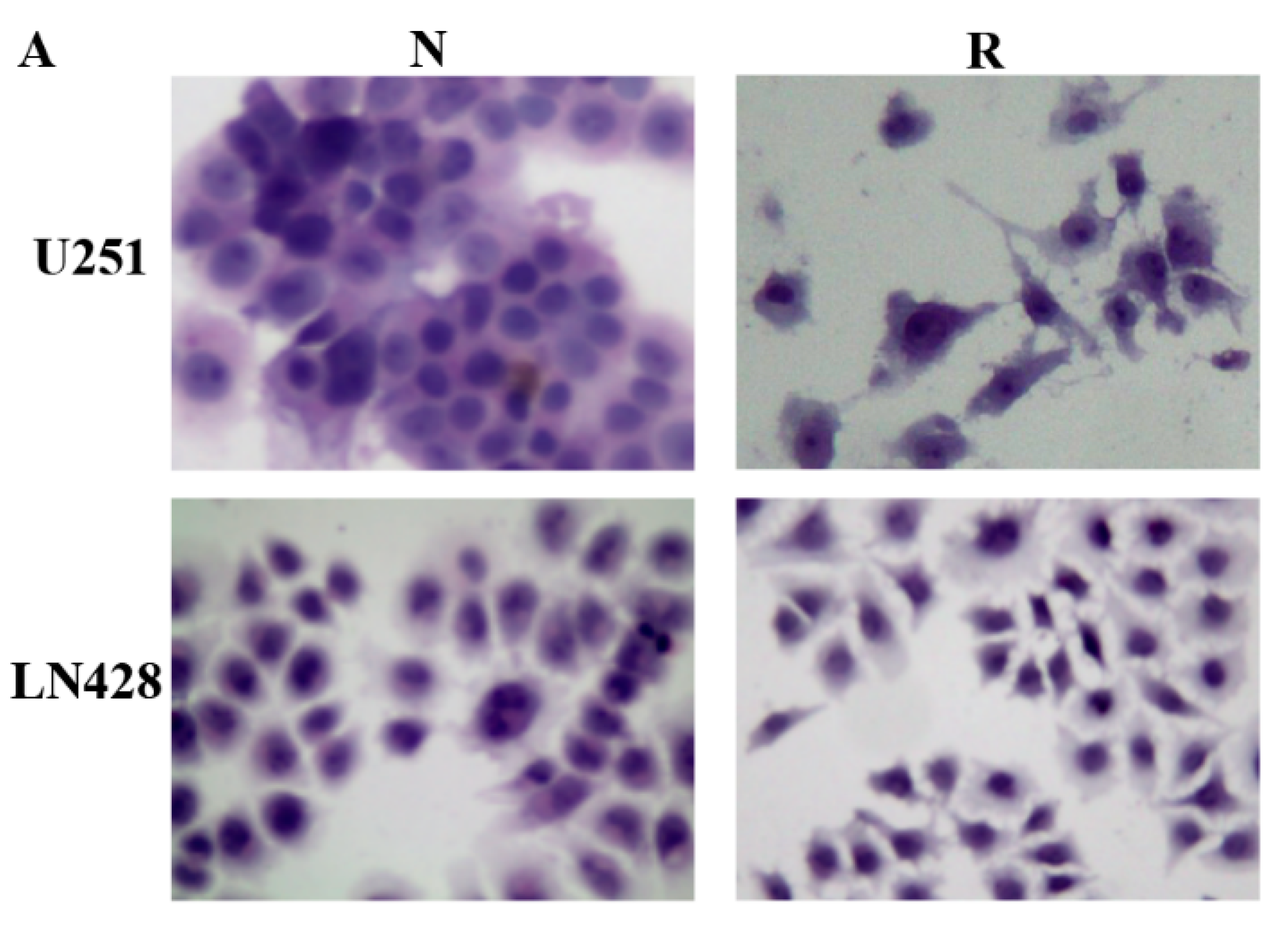 Ijms 20 00191 g001a