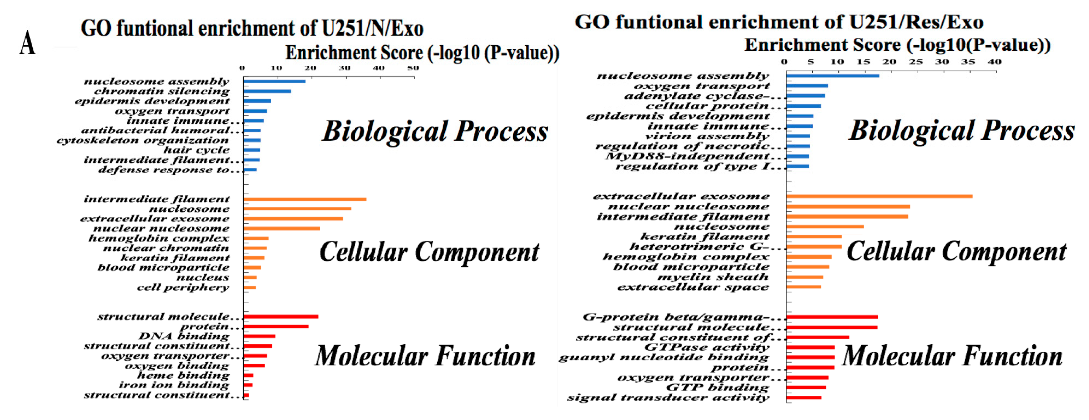 Ijms 20 00191 g005a