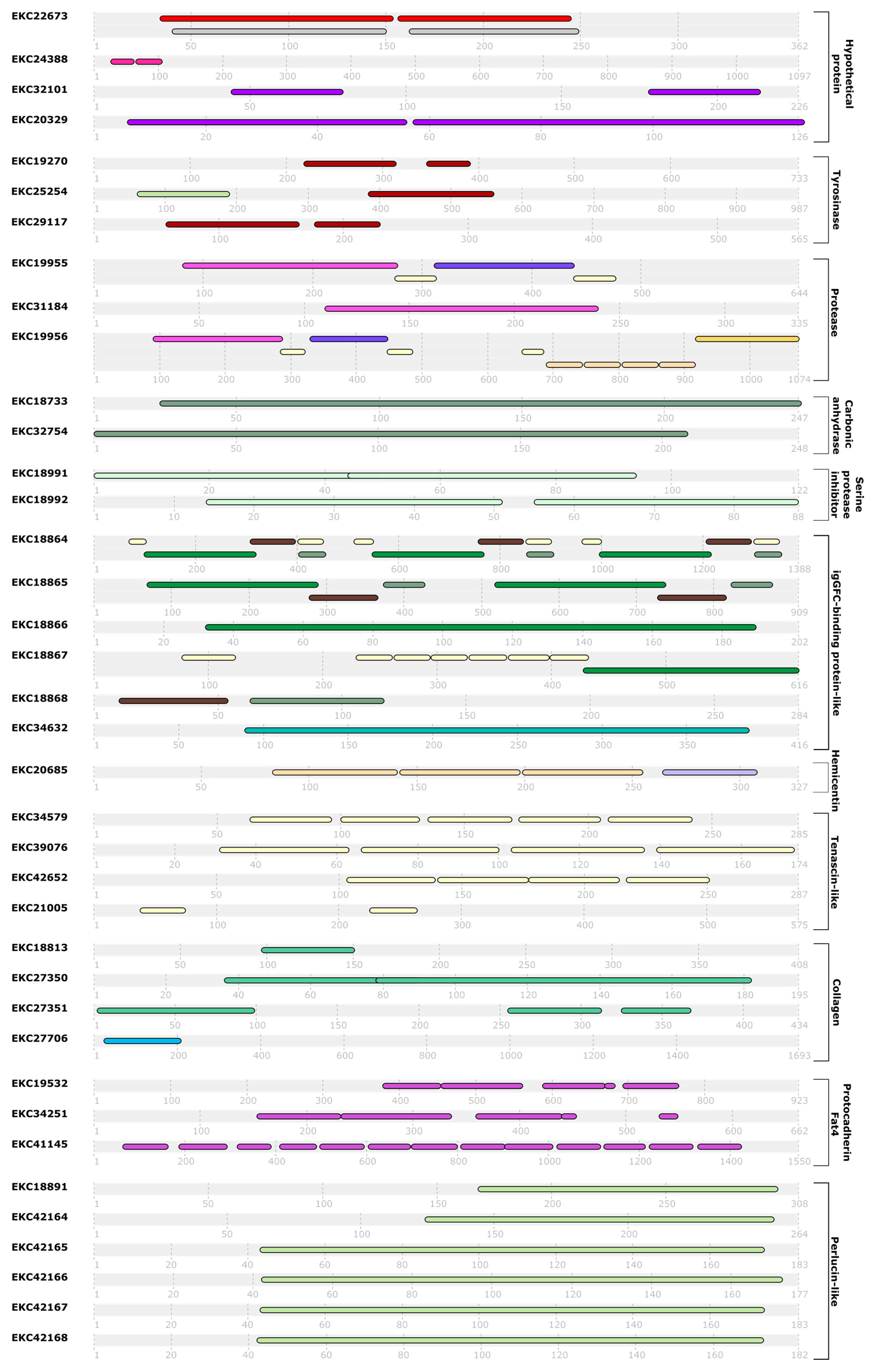 Ijms 20 00197 g001a Ijms 20 00197 g001a