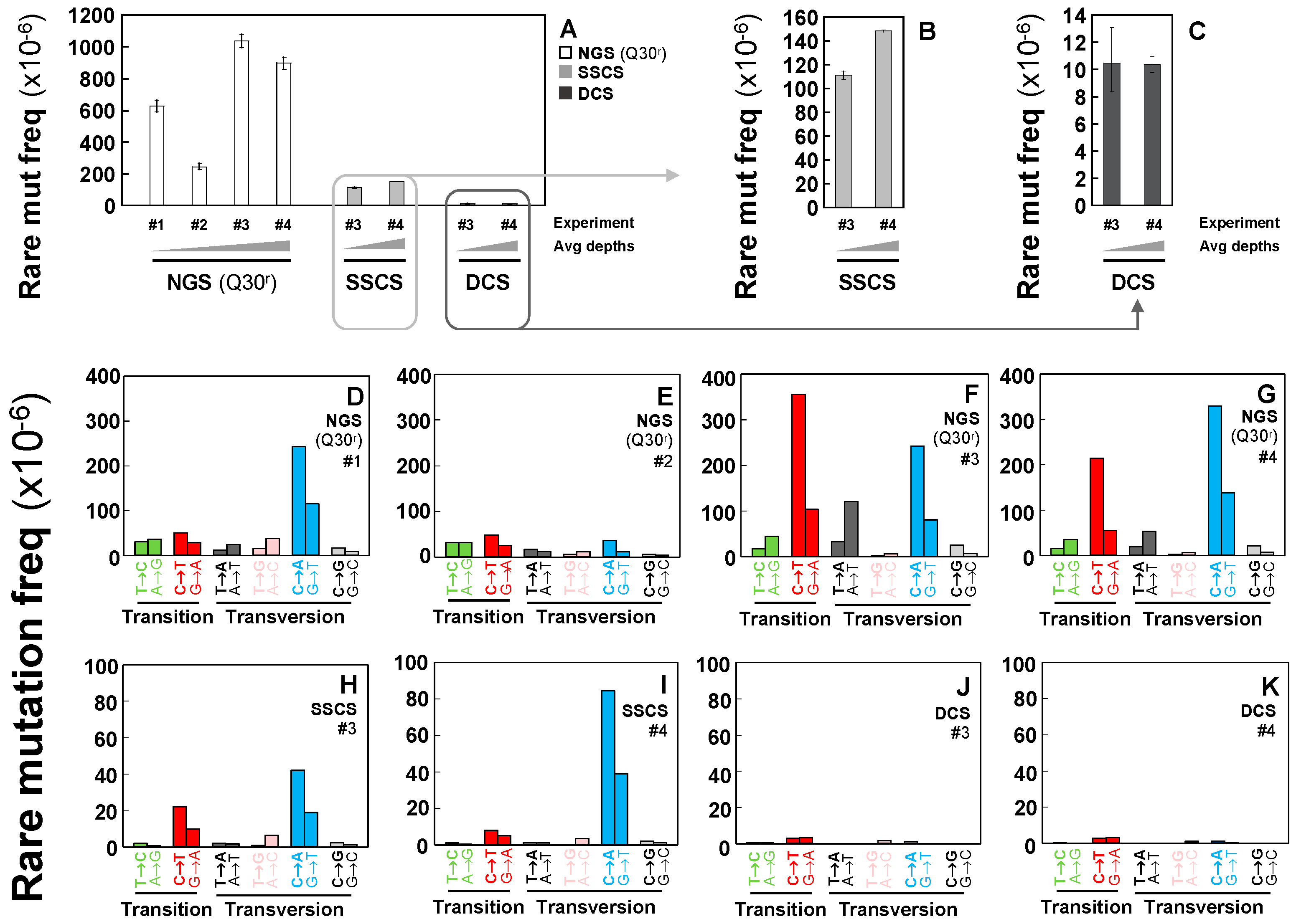 Ijms 20 00199 g002 Ijms 20 00199 g002