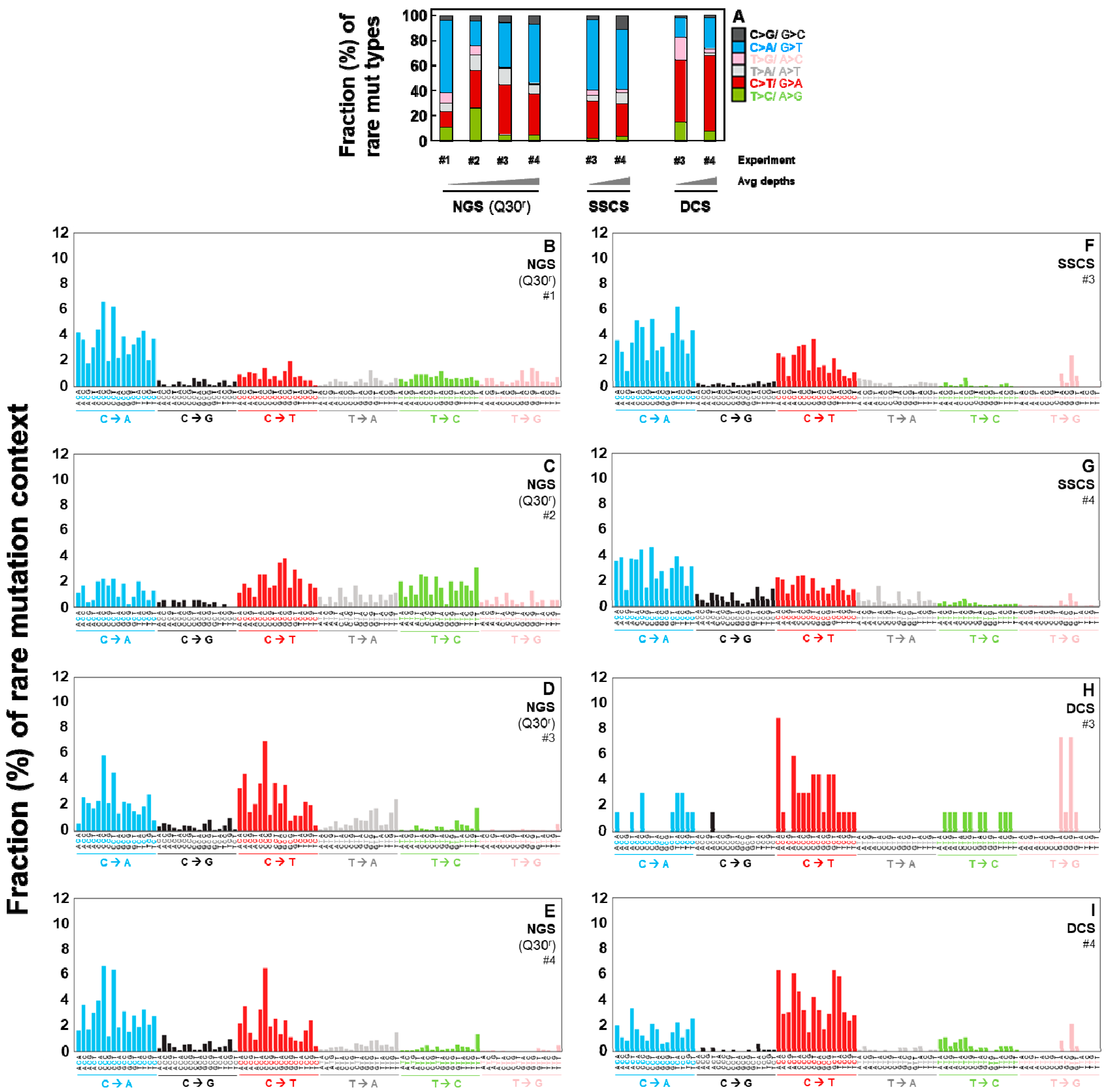 Ijms 20 00199 g003 Ijms 20 00199 g003