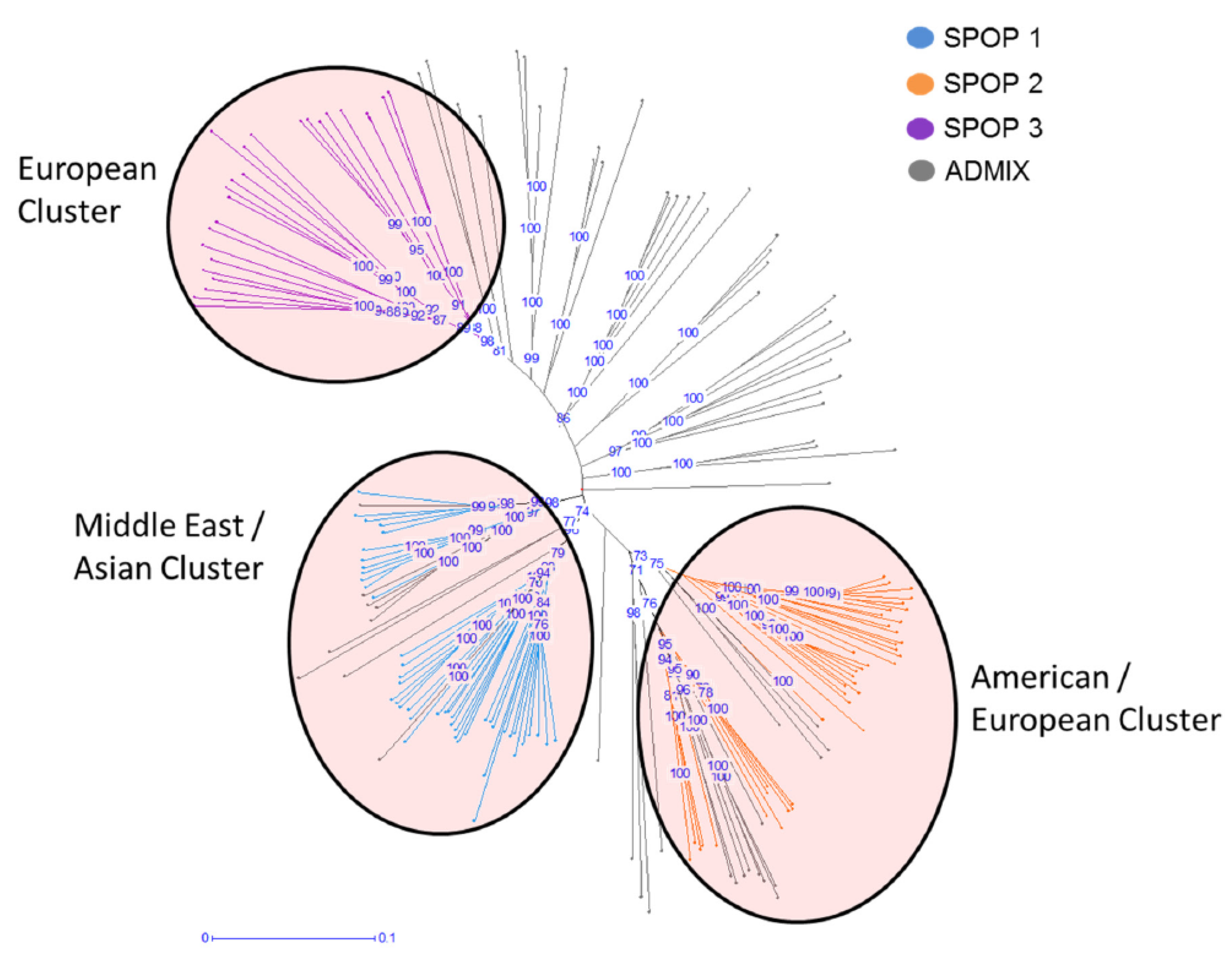 Ijms 20 00202 g001 Ijms 20 00202 g001