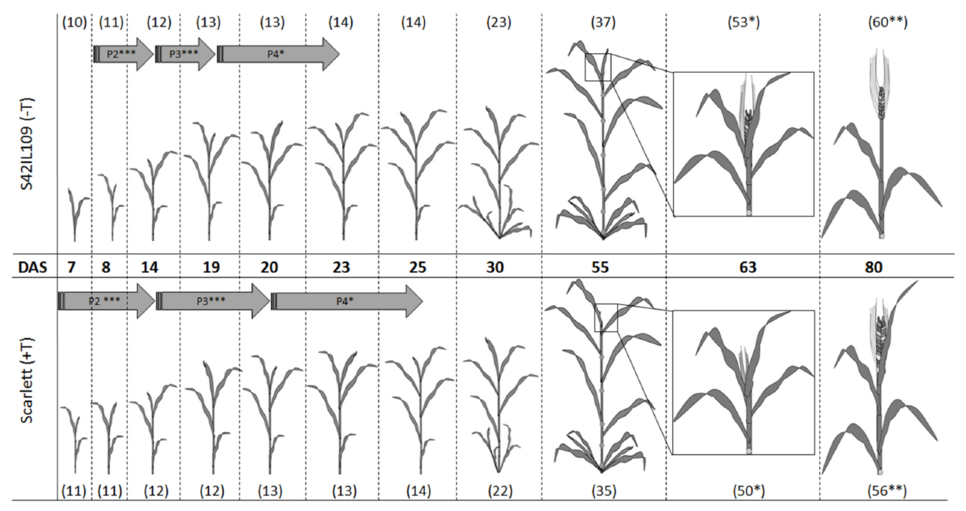Ijms 20 00202 g004 Ijms 20 00202 g004