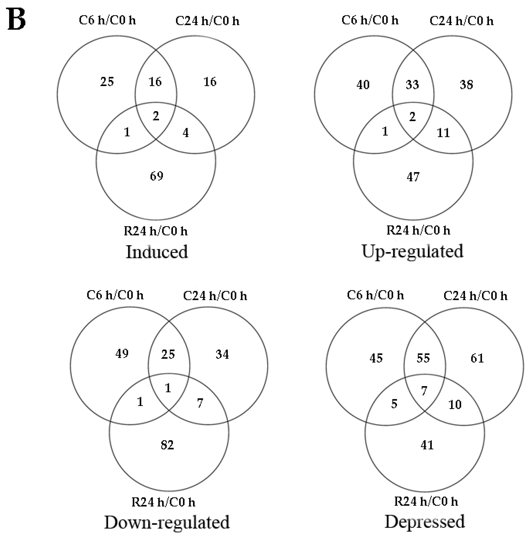 ijms free full text global phosphoproteomic analysis a student constructs a venn diagram to compare the organelles in plant and animal cells