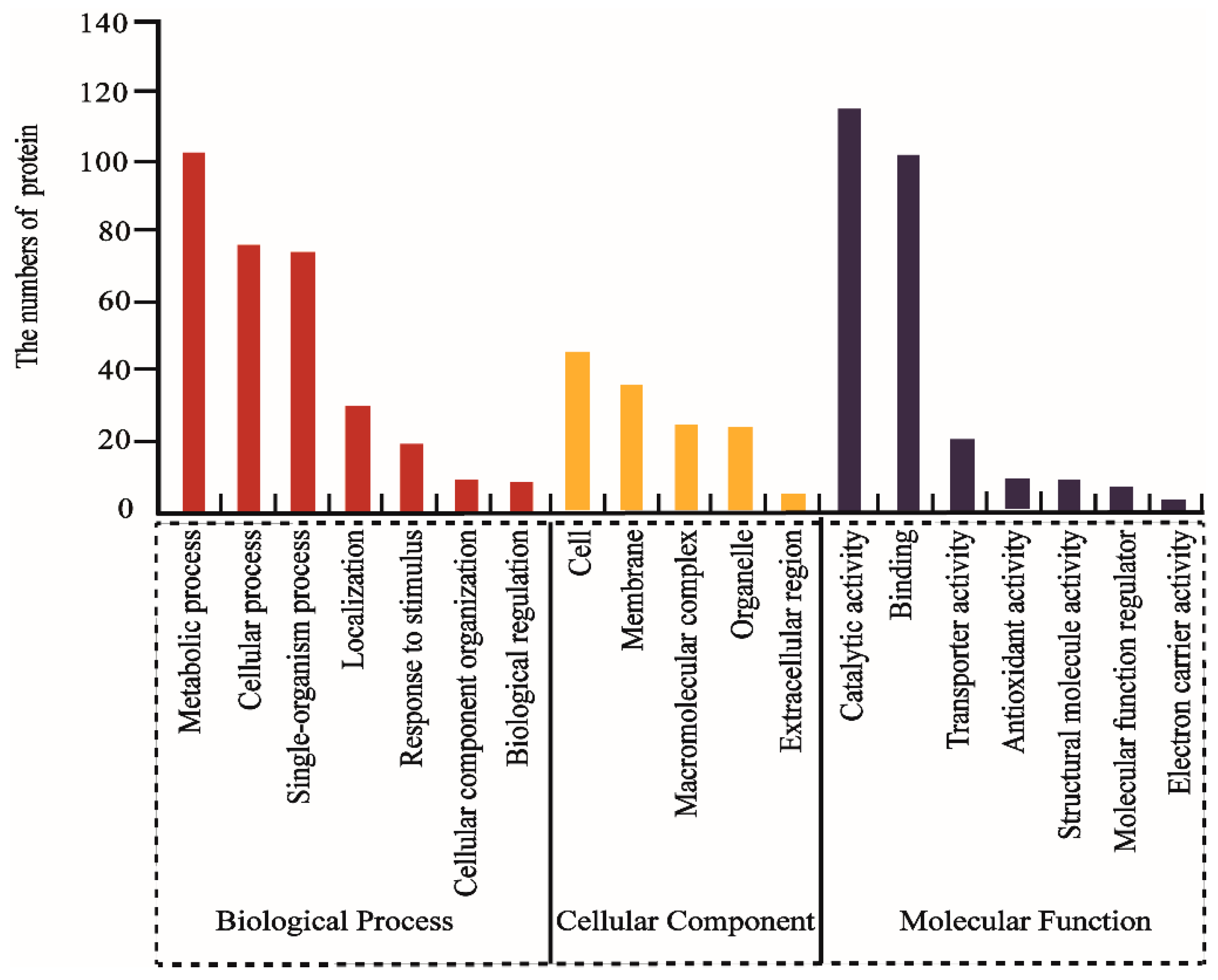 Ijms 20 00221 g002 Ijms 20 00221 g002
