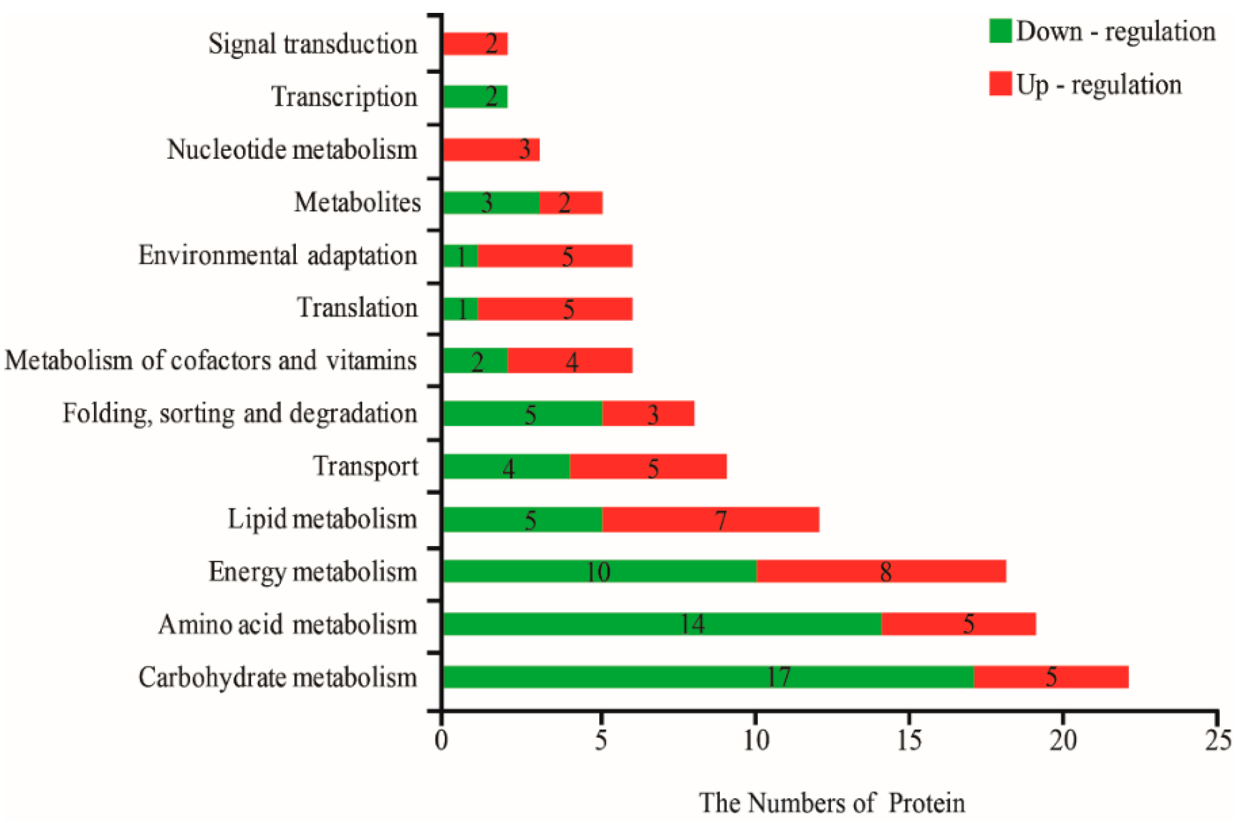 Ijms 20 00221 g003 Ijms 20 00221 g003