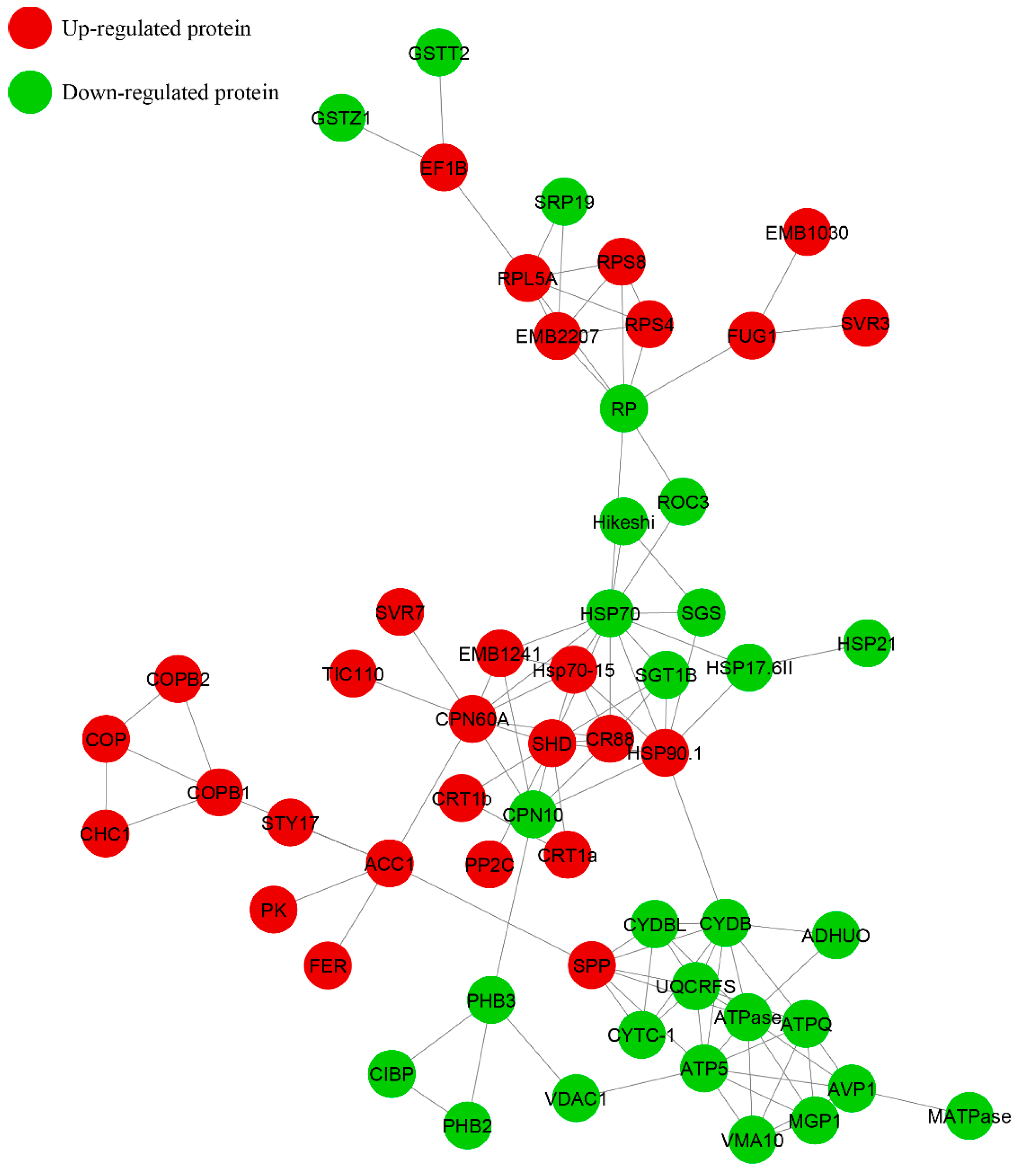 Ijms 20 00221 g006 Ijms 20 00221 g006