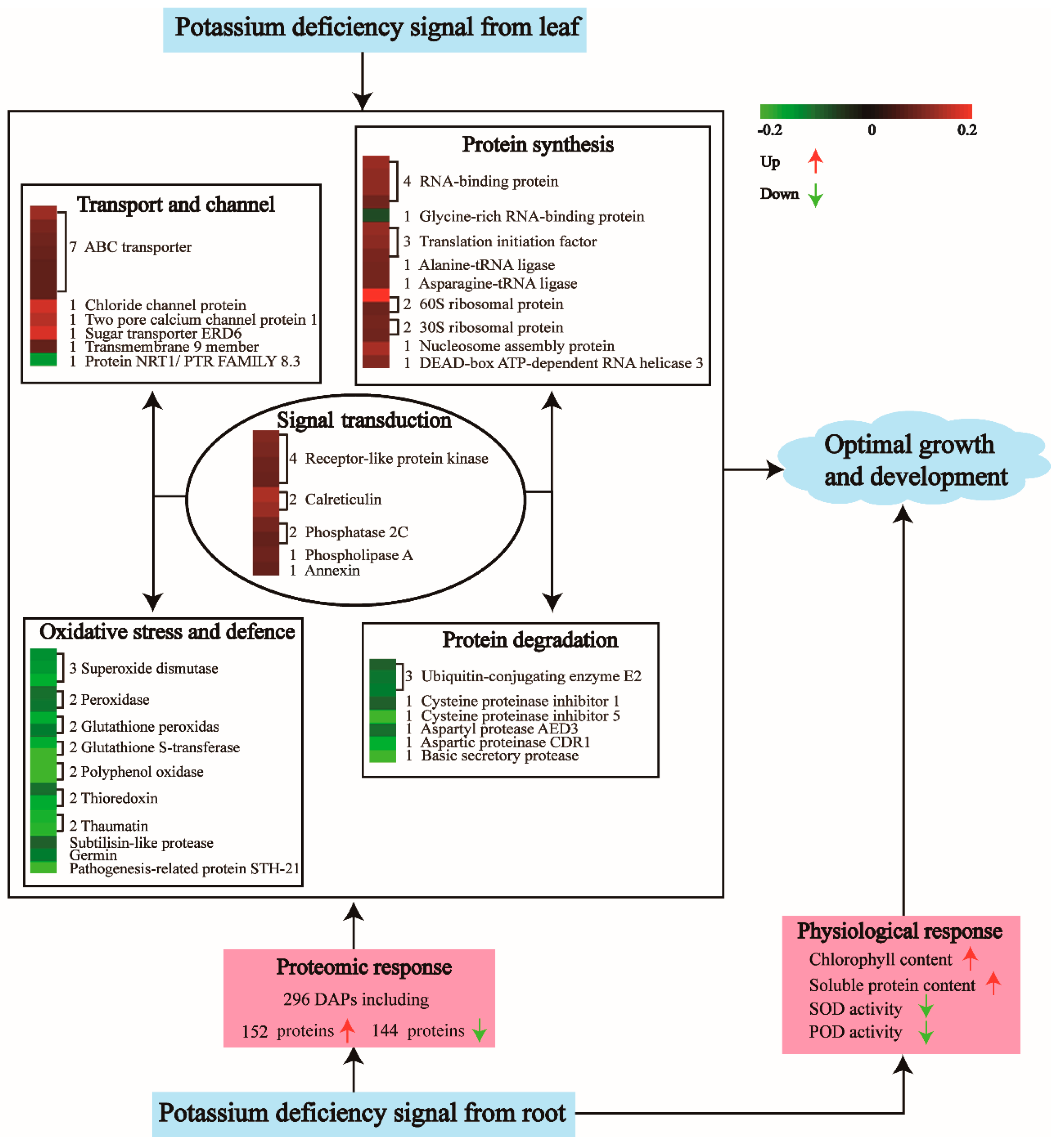 Ijms 20 00221 g008 Ijms 20 00221 g008