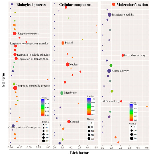 Integration Analysis of Small RNA and Degradome Sequencing Reveals