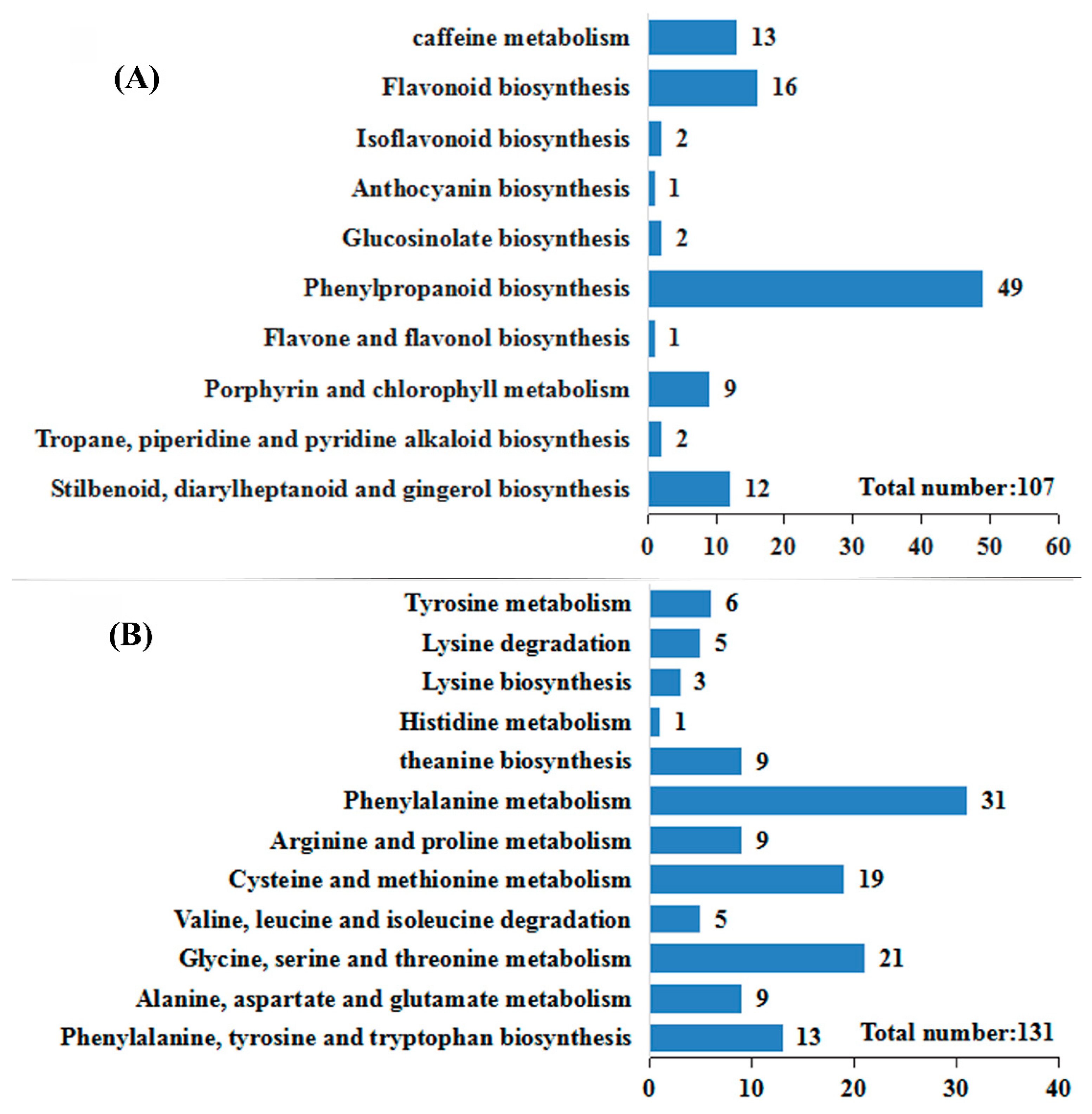 Ijms 20 00237 g002 Ijms 20 00237 g002