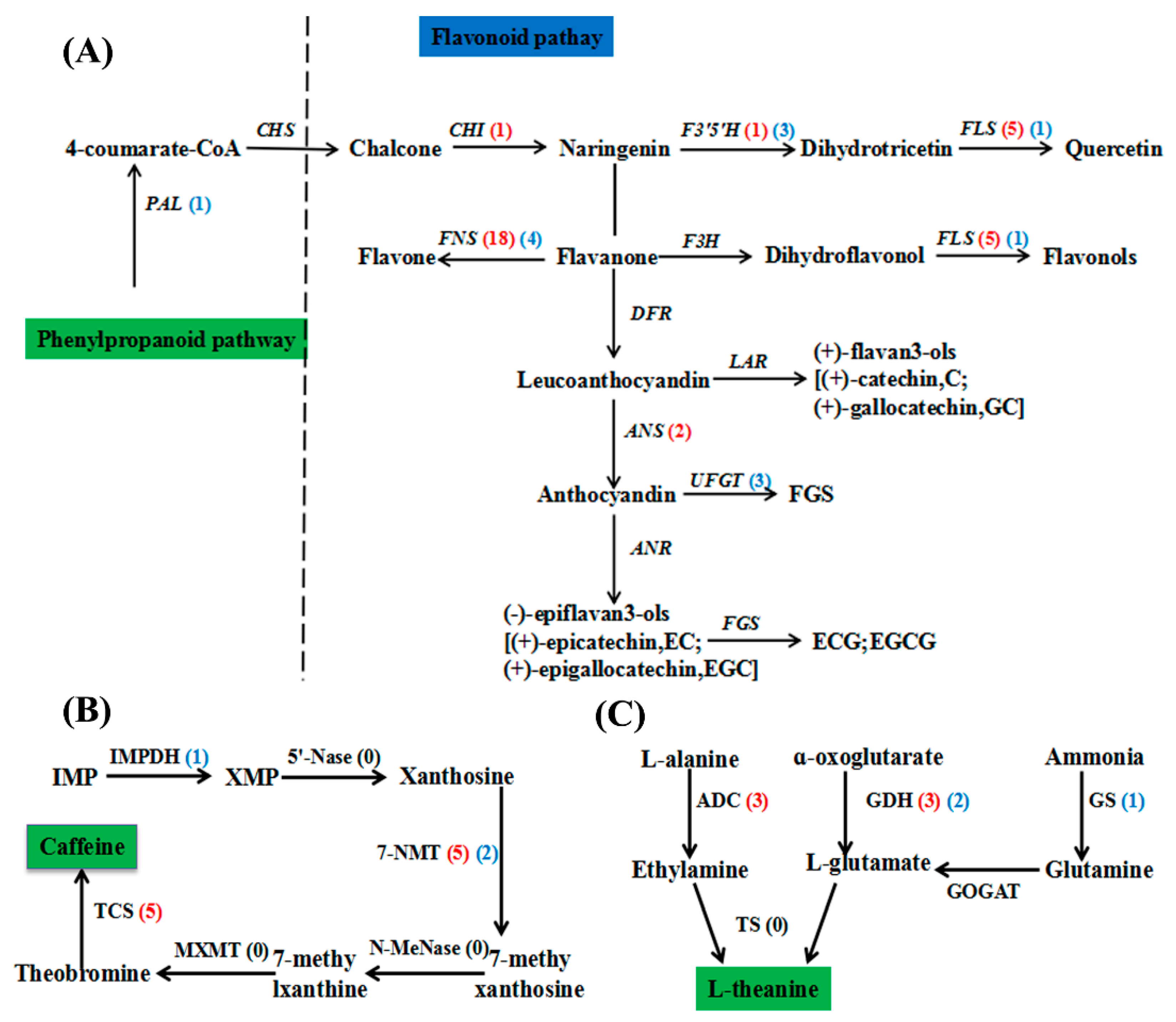 Ijms 20 00237 g003 Ijms 20 00237 g003