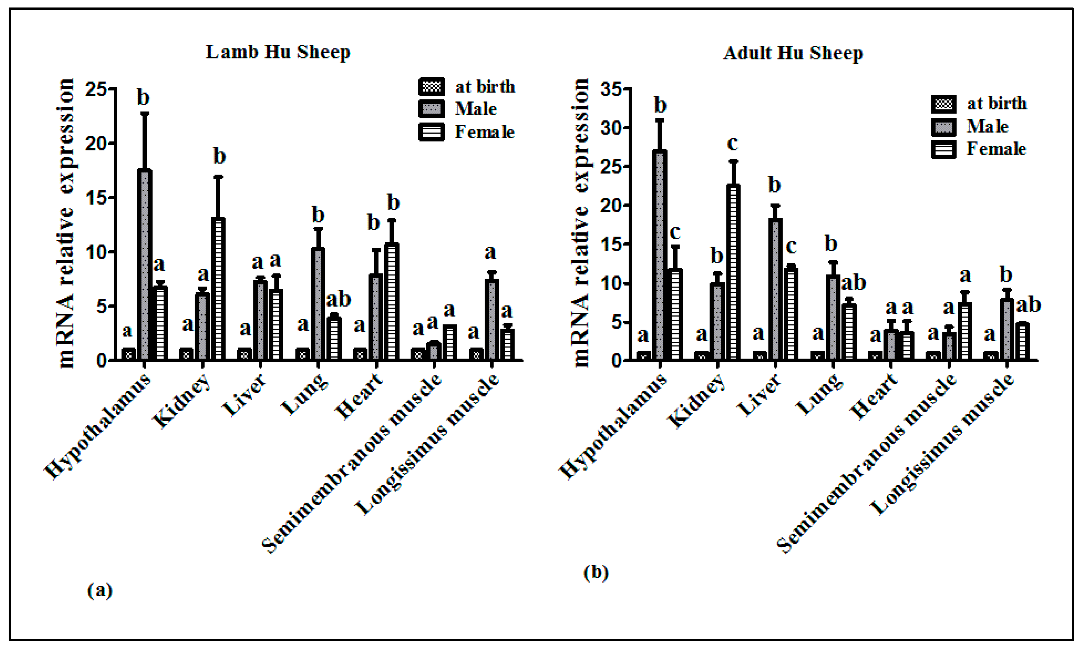 Ijms 20 00240 g003 Ijms 20 00240 g003