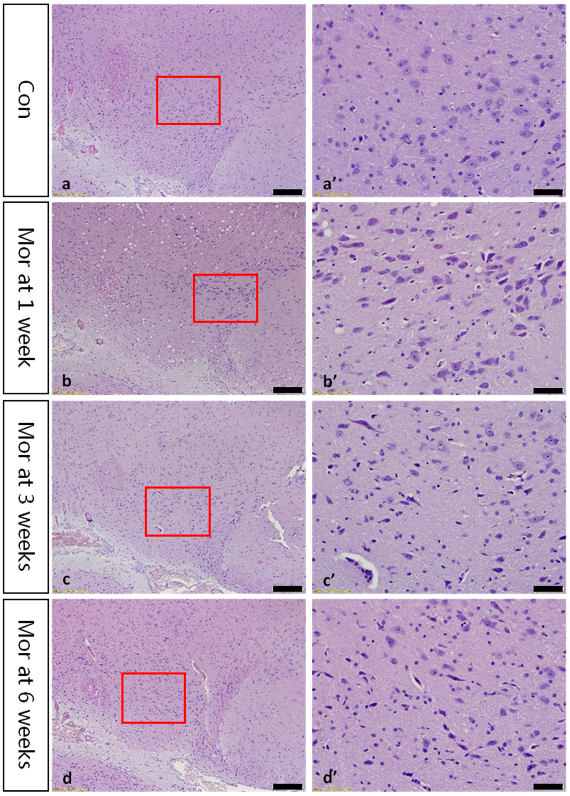 Ijms 20 00250 g001 Ijms 20 00250 g001