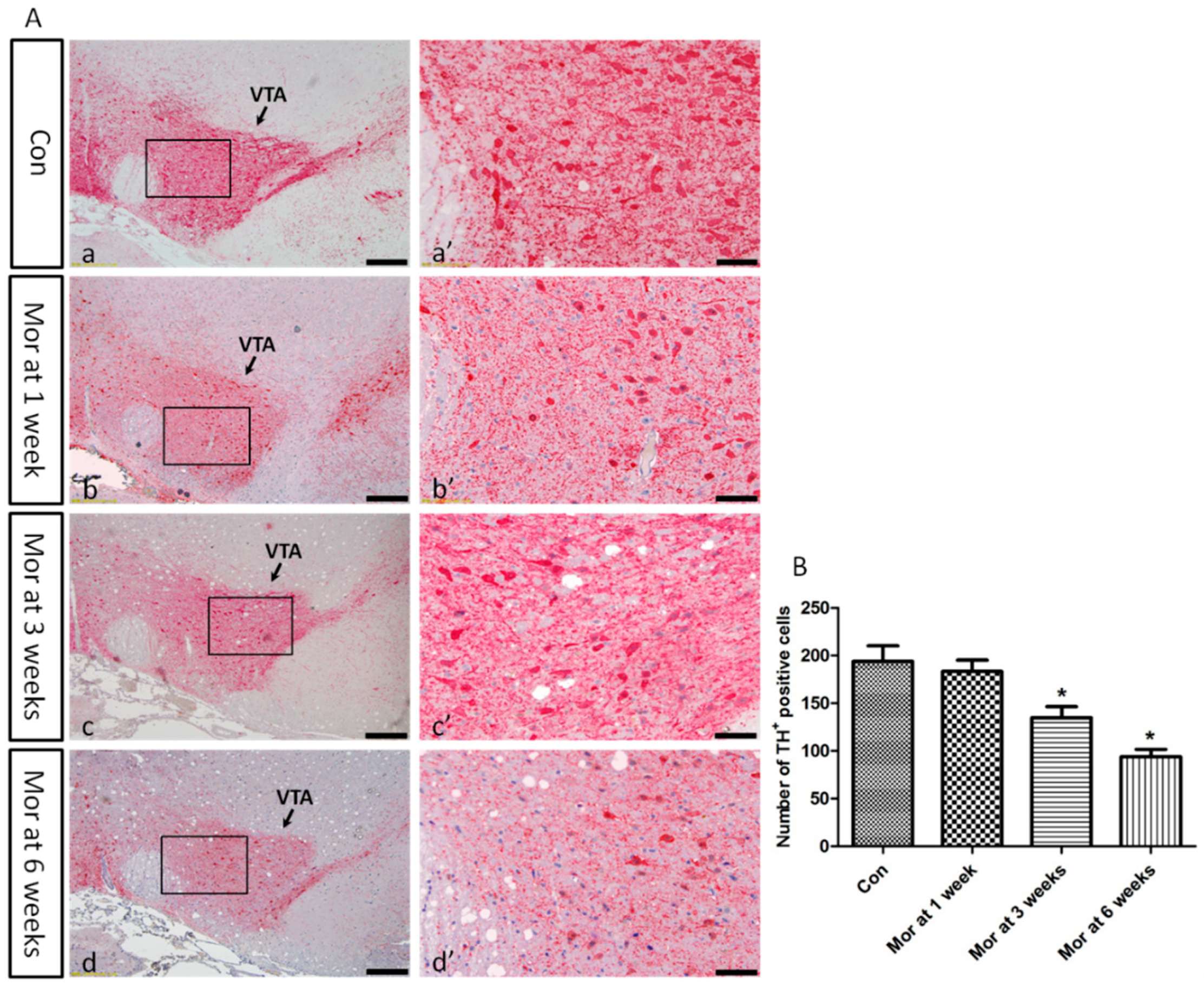 Ijms 20 00250 g002 Ijms 20 00250 g002
