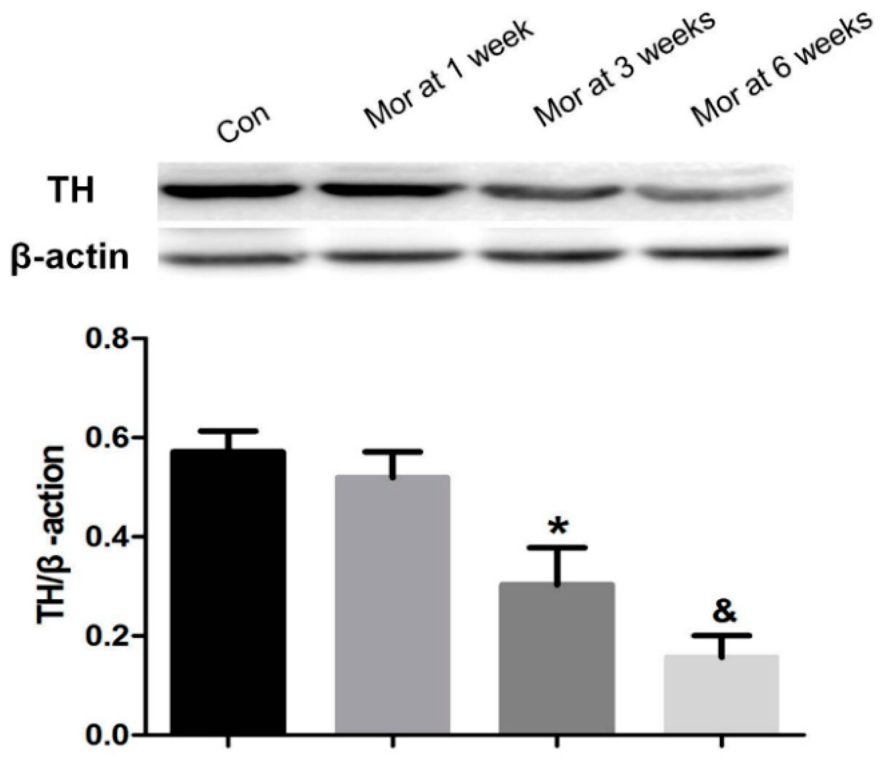Ijms 20 00250 g003 Ijms 20 00250 g003