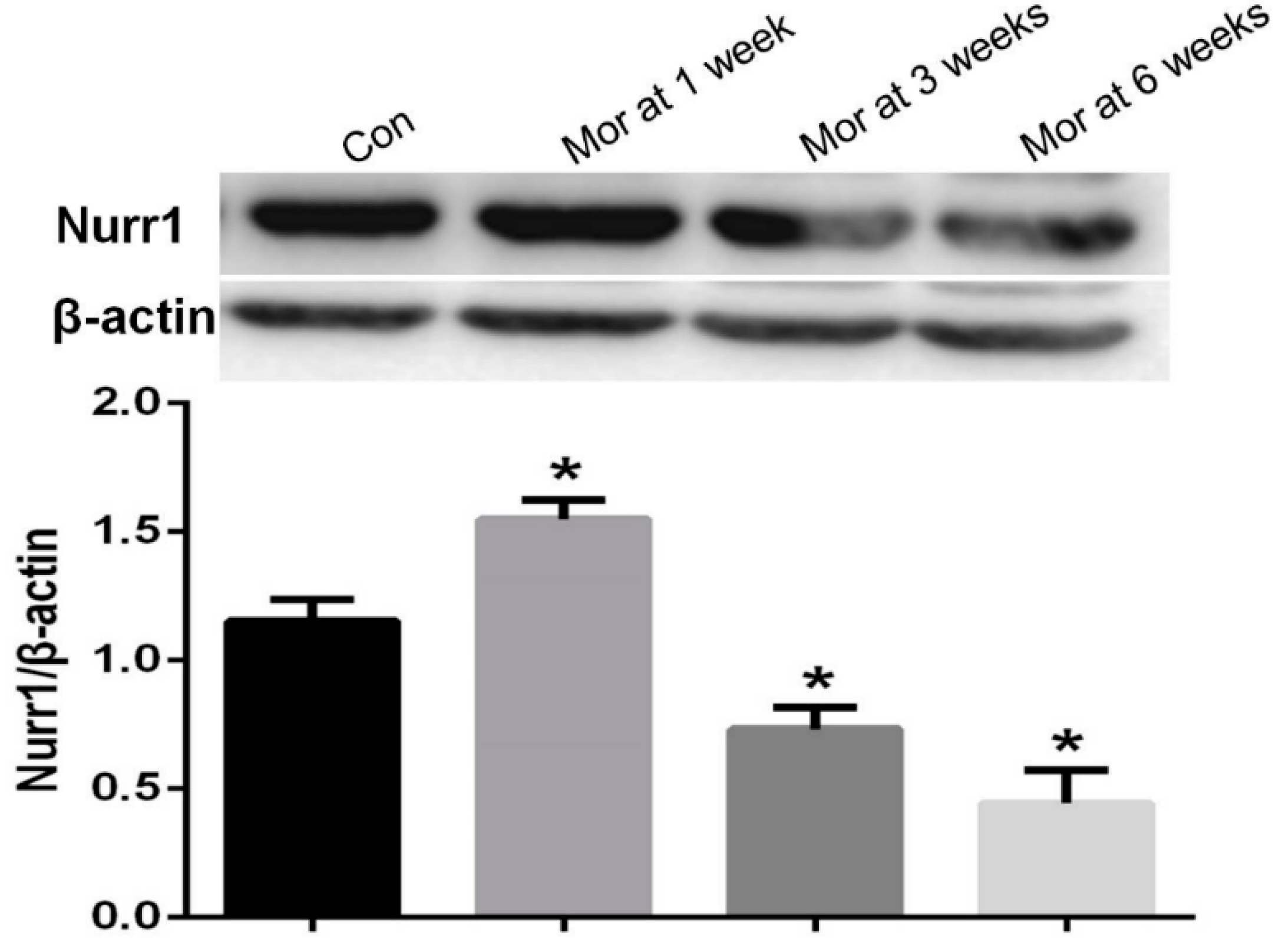 Ijms 20 00250 g005 Ijms 20 00250 g005